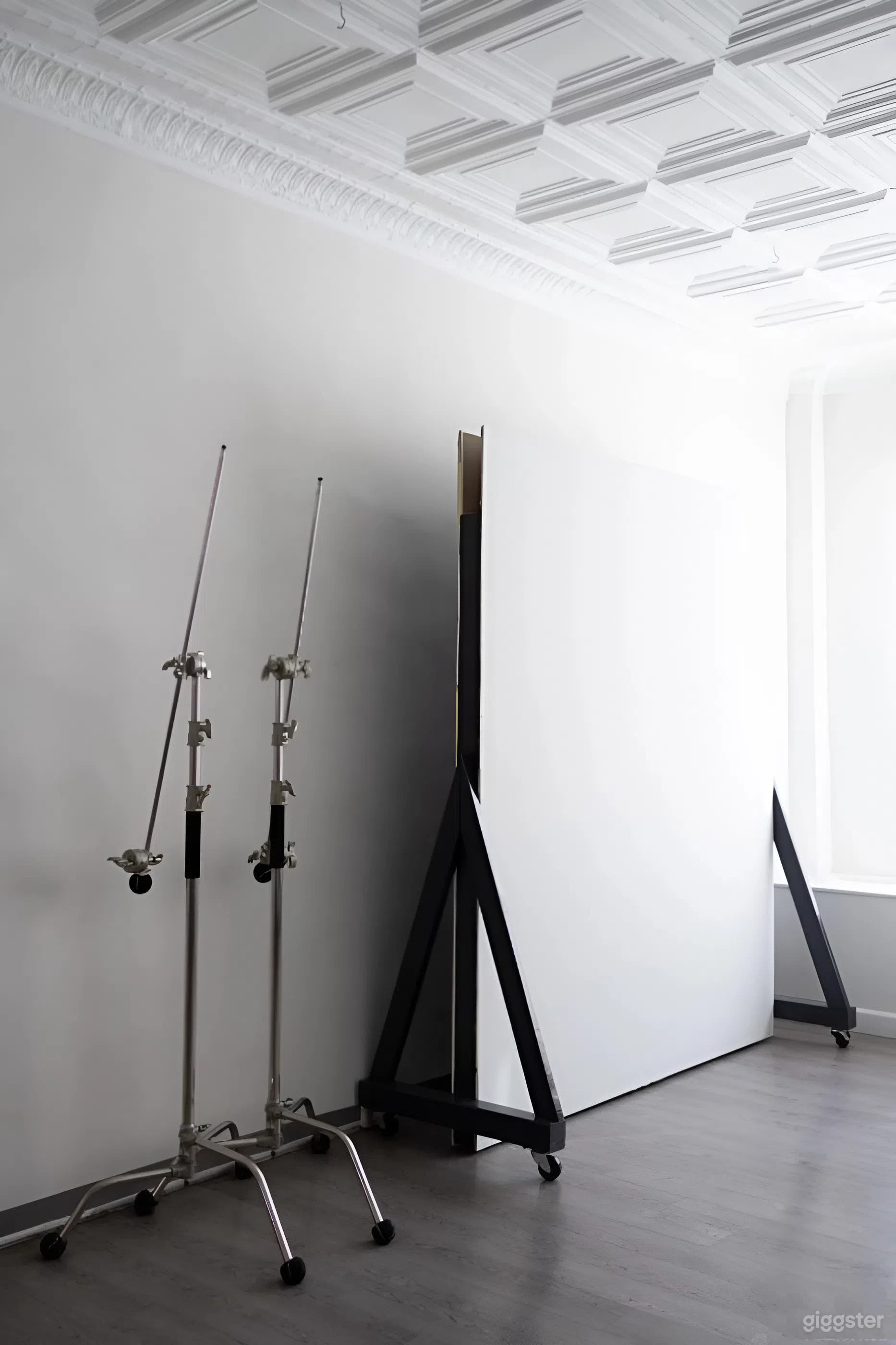Natural Light Photo Studio in Pittsburgh, PA Photo 3