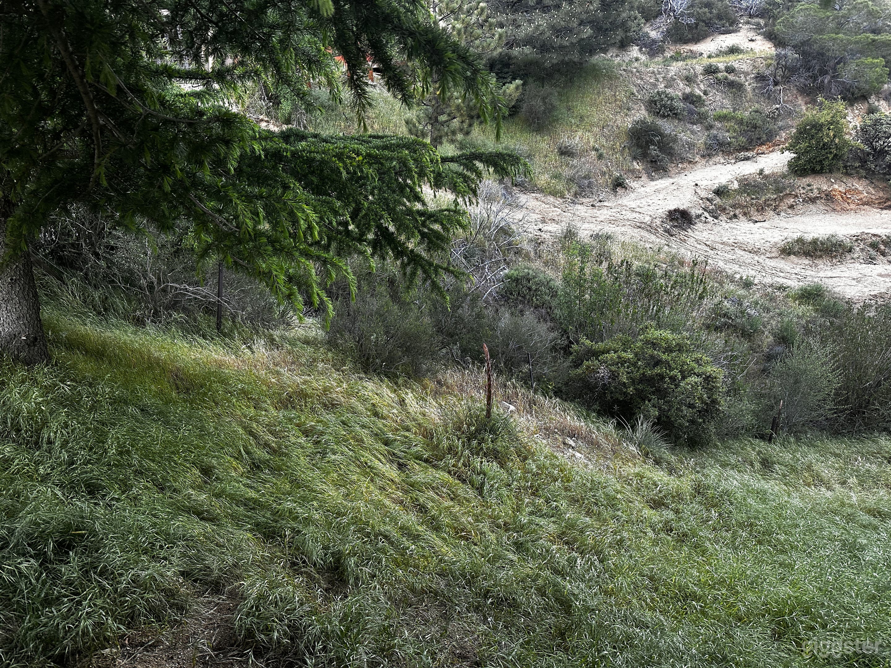 Wild Sage Hill – Cinematic Desert Wilderness Photo 4