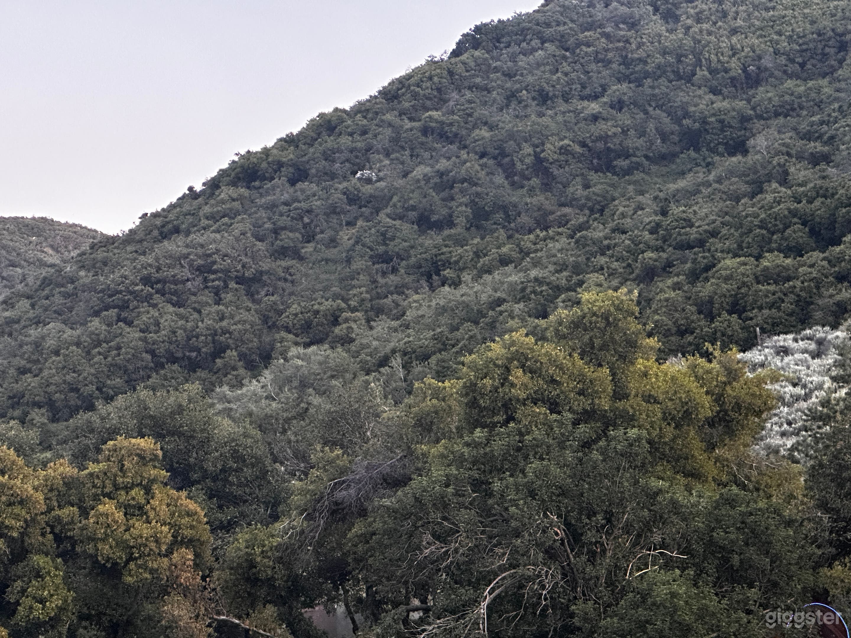 Wild Sage Hill – Cinematic Desert Wilderness Photo 3