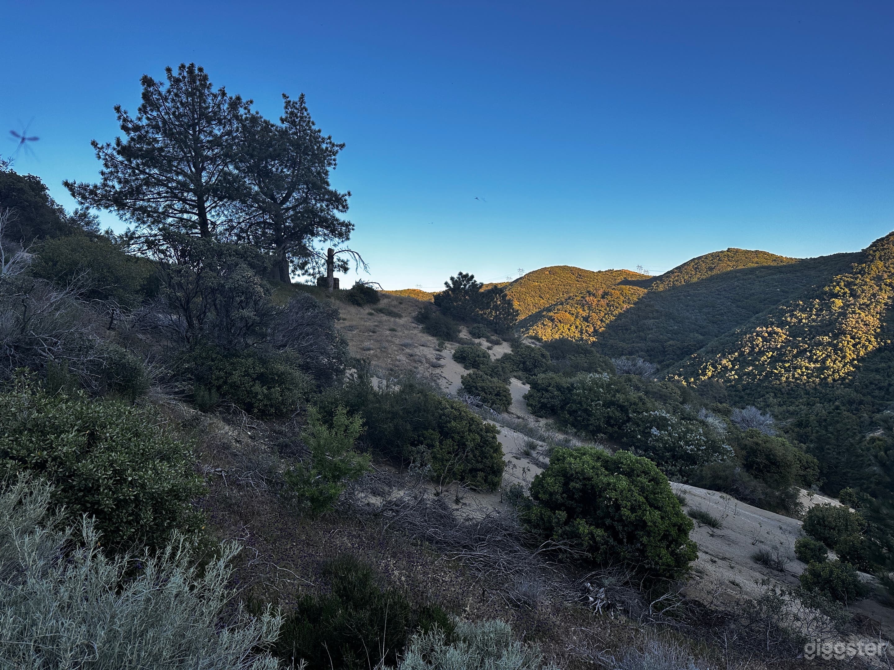 Wild Sage Hill – Cinematic Desert Wilderness Photo 1