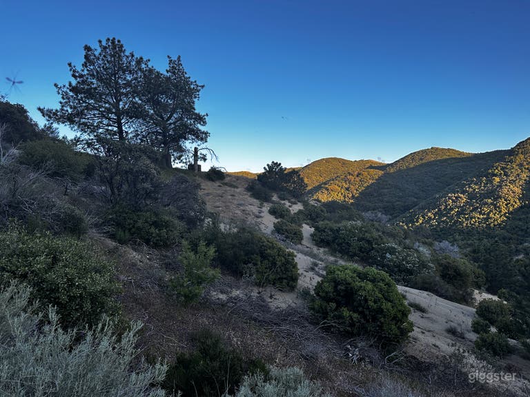  Wild Sage Hill – Cinematic Desert Wilderness 