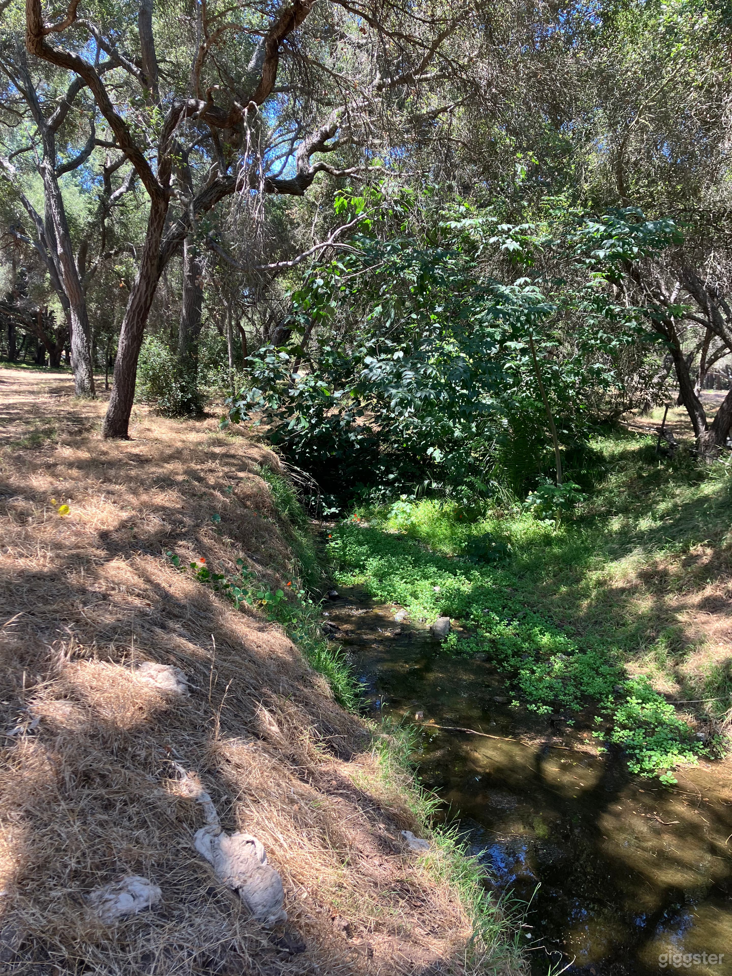 The Drop Off.
A dramatic drop-off reveals the main creek carving its way deep into the land. Rugged dirt walls, shaped by time, wind, and water, expose massive bedrock formations and beautiful pools of water—nature’s enduring sculptural masterpiece.