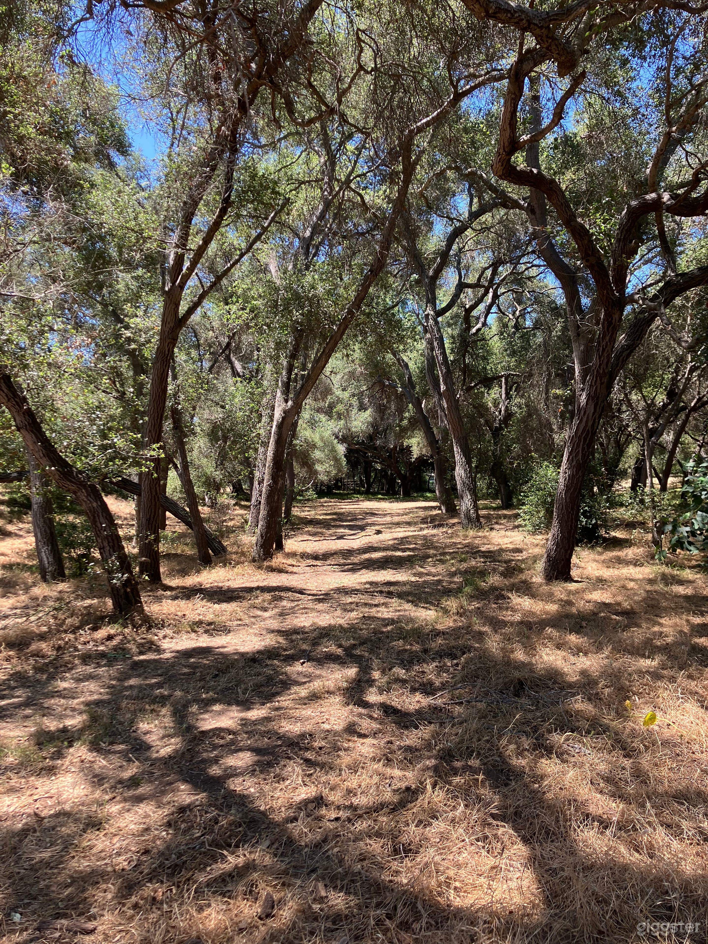 Welcome to Our World. 
A breathtaking ranch unfolds beneath a canopy of over 600 native Coast live oaks trees. This magical land pulses with life—wildlife thrives among the trees, and living waters meander through the heart of the property.