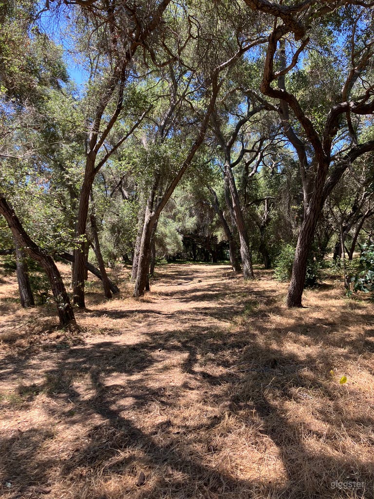  Welcome to Our World. 
A breathtaking ranch unfolds beneath a canopy of over 600 native Coast live oaks trees. This magical land pulses with life—wildlife thrives among the trees, and living waters meander through the heart of the property. 