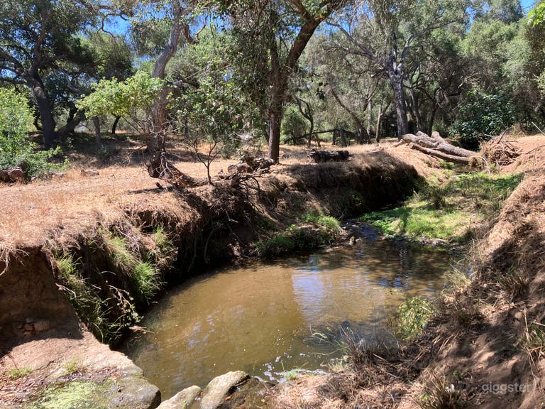  The Big Pond.
Tucked into a quiet pocket of the property, our largest pond glistens beneath the California sun. Fed by a cascading waterfall over natural bedrock, the water sparkles and ripples—cool, clear, and undeniably tempting on a hot summer day. 