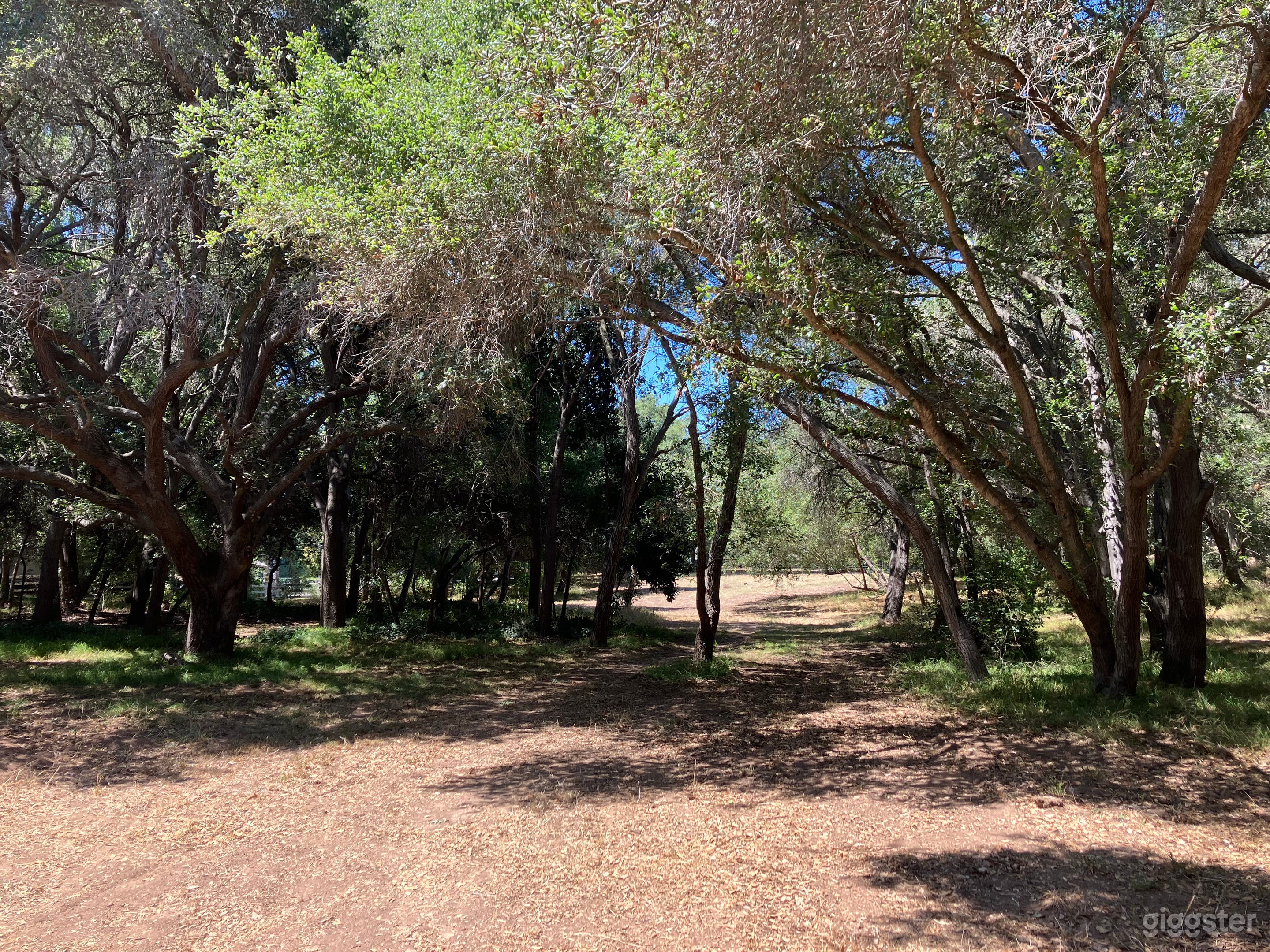 Step Into the Frame.
As you cross the threshold onto the property, the scene unfolds like a living canvas. Every angle holds a new story, every turn invites discovery. Creativity breathes with the land—each step is a chance to capture nature's beauty.