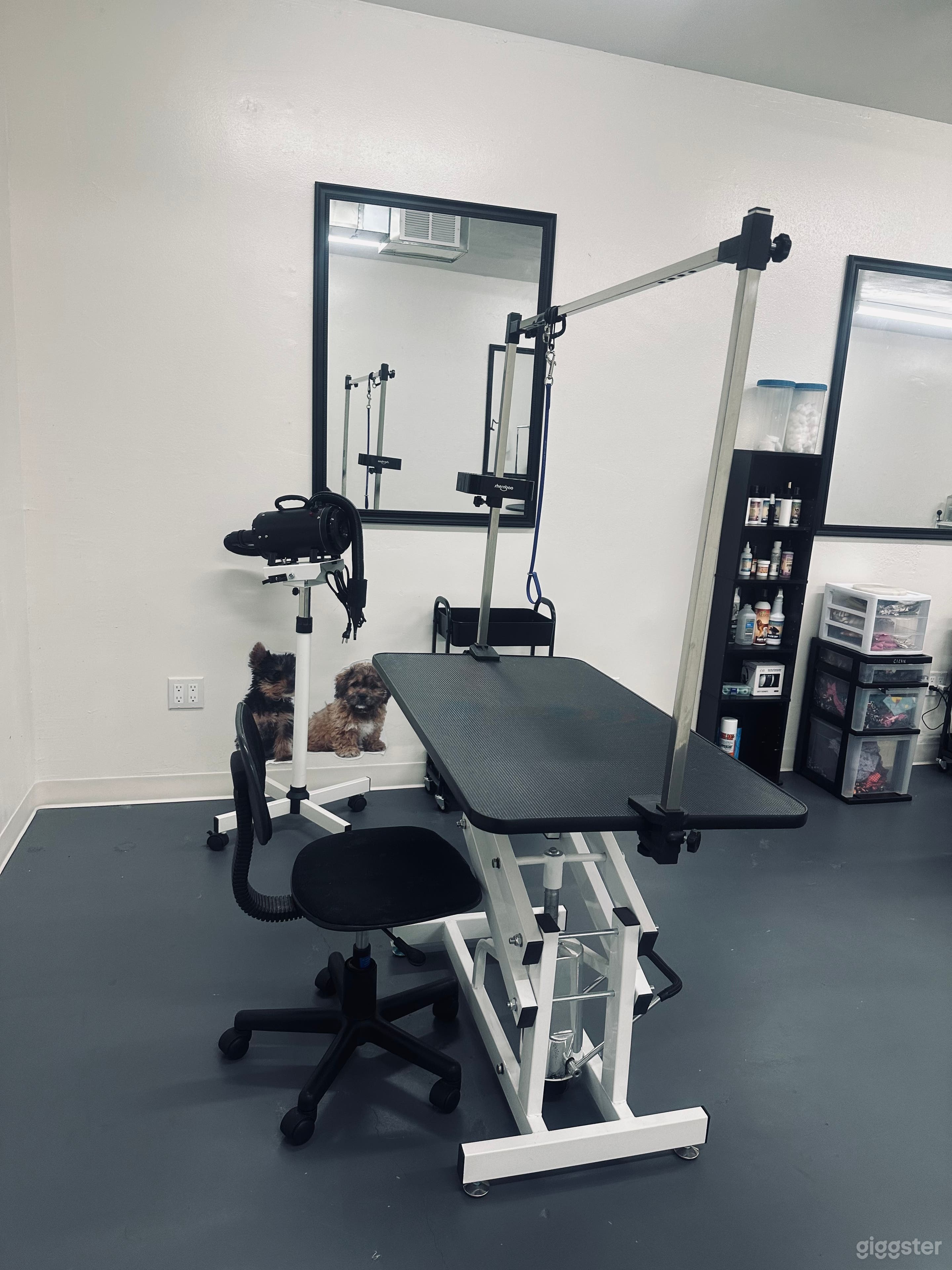 Dog Grooming Studio  Photo 4