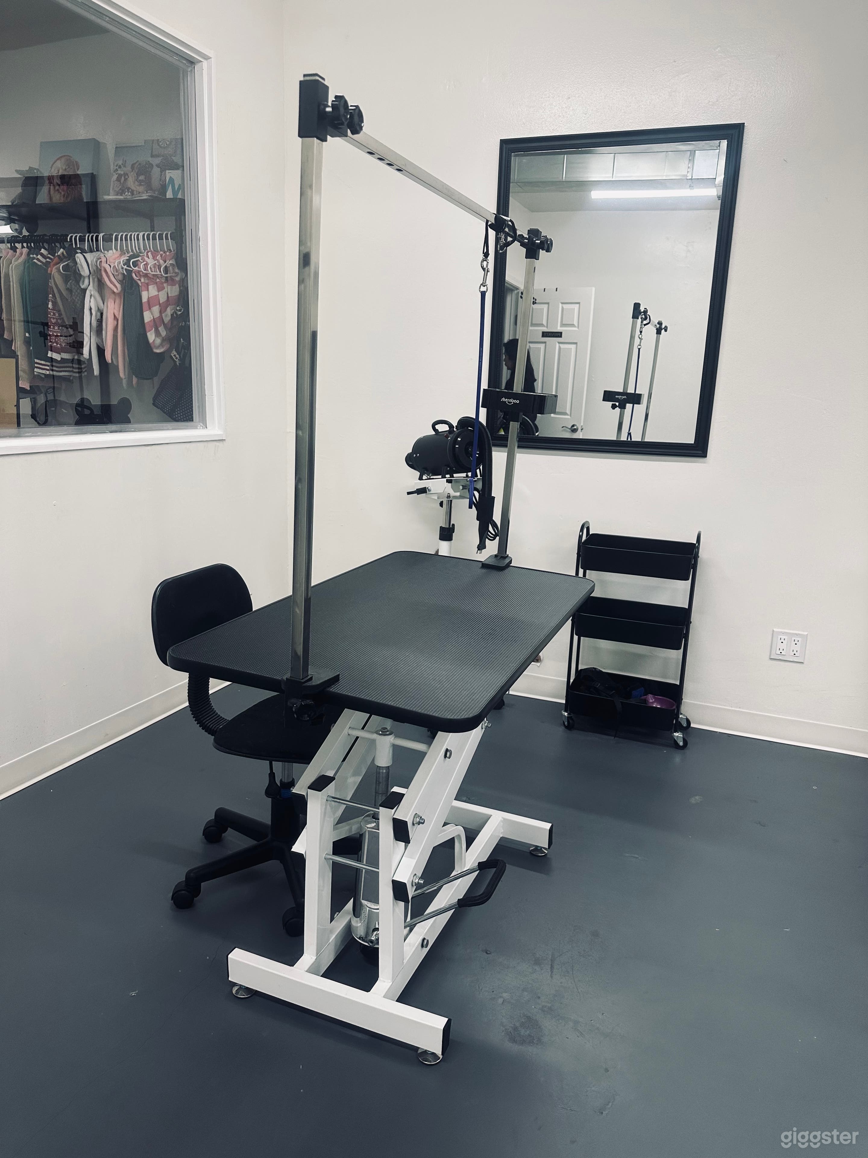 Dog Grooming Studio  Photo 3