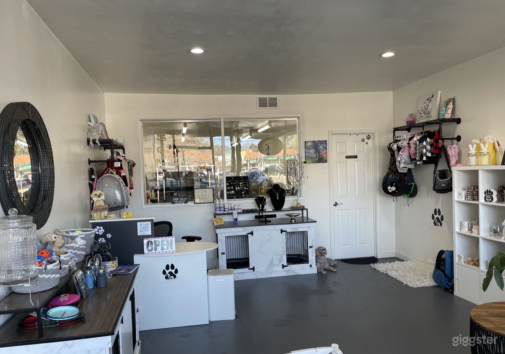 Dog Grooming Studio  Photo 2