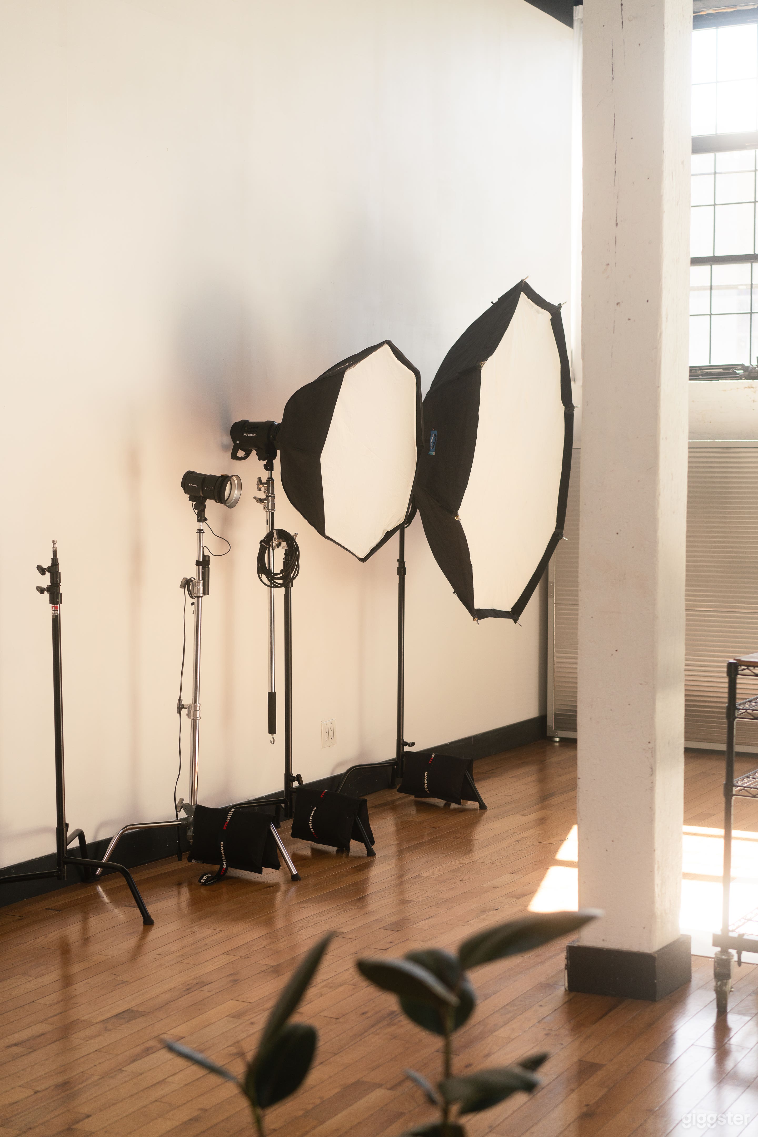Production: Studio strobes and constant lights available