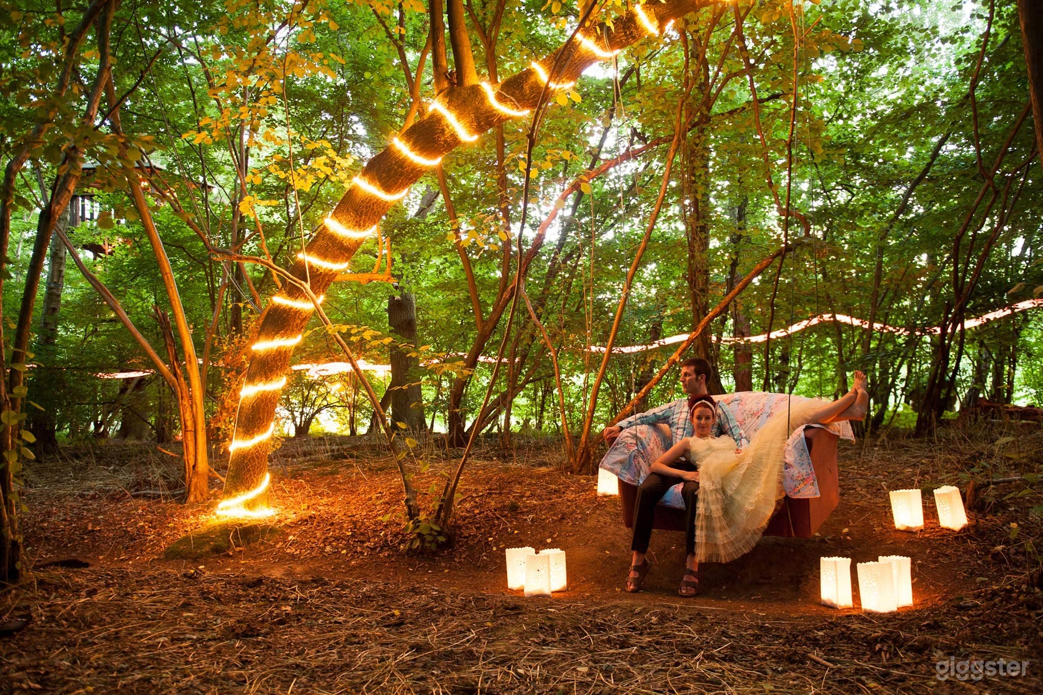 Enchanting Woodland Venue with Lakes & Treehouse Photo 3