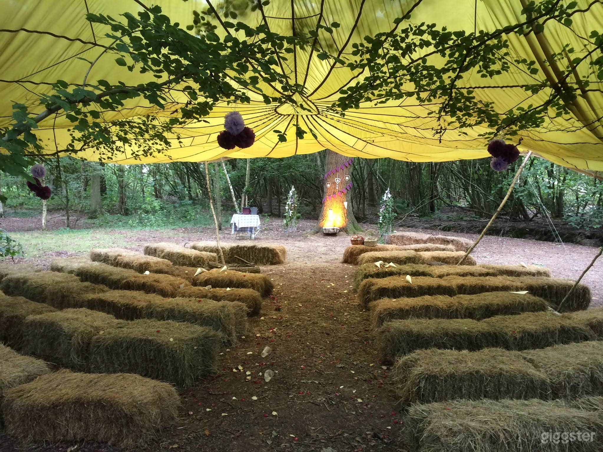 Enchanting Woodland Venue with Lakes & Treehouse Photo 2