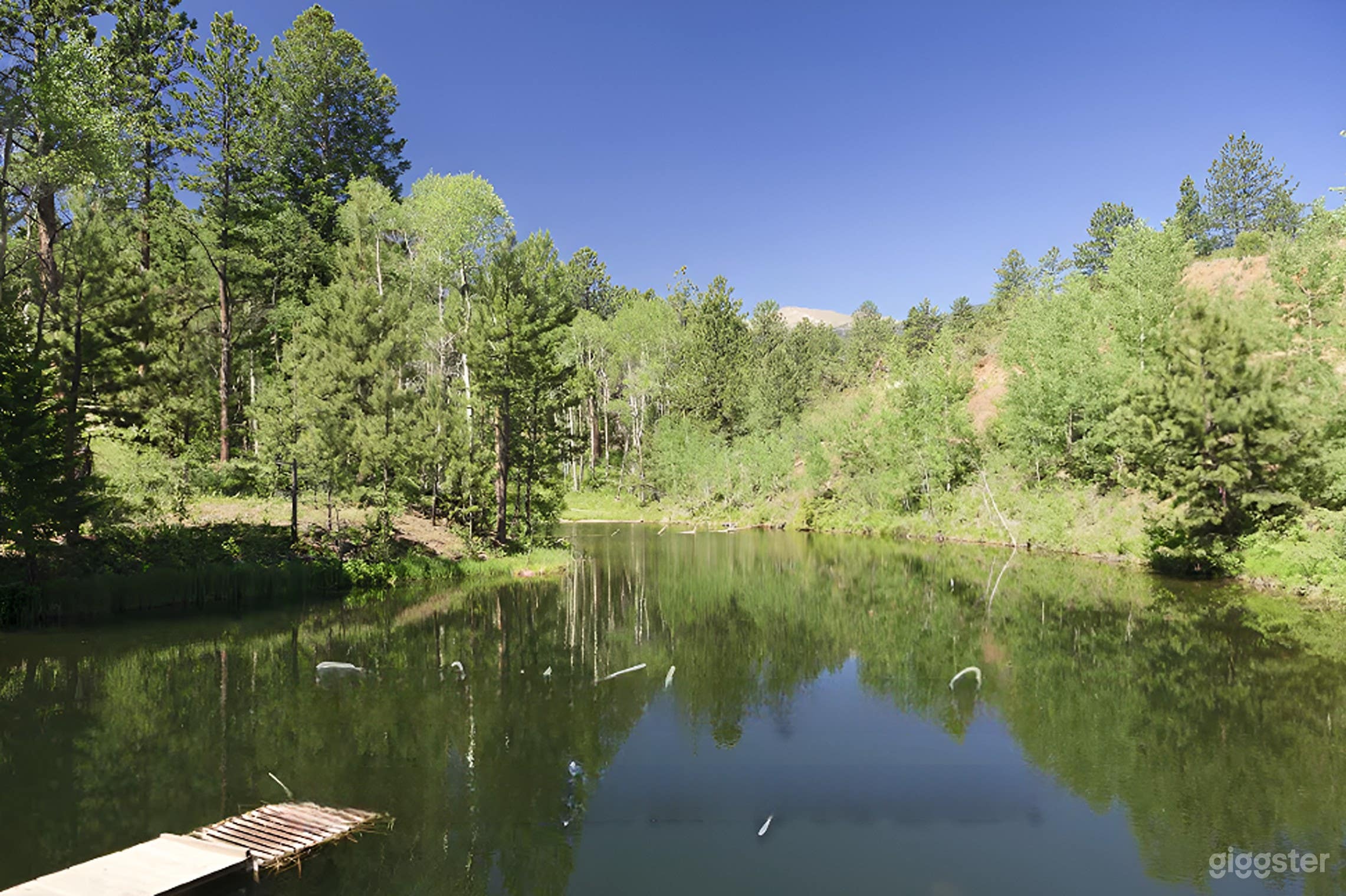 5-Lake Retreat Photo 3