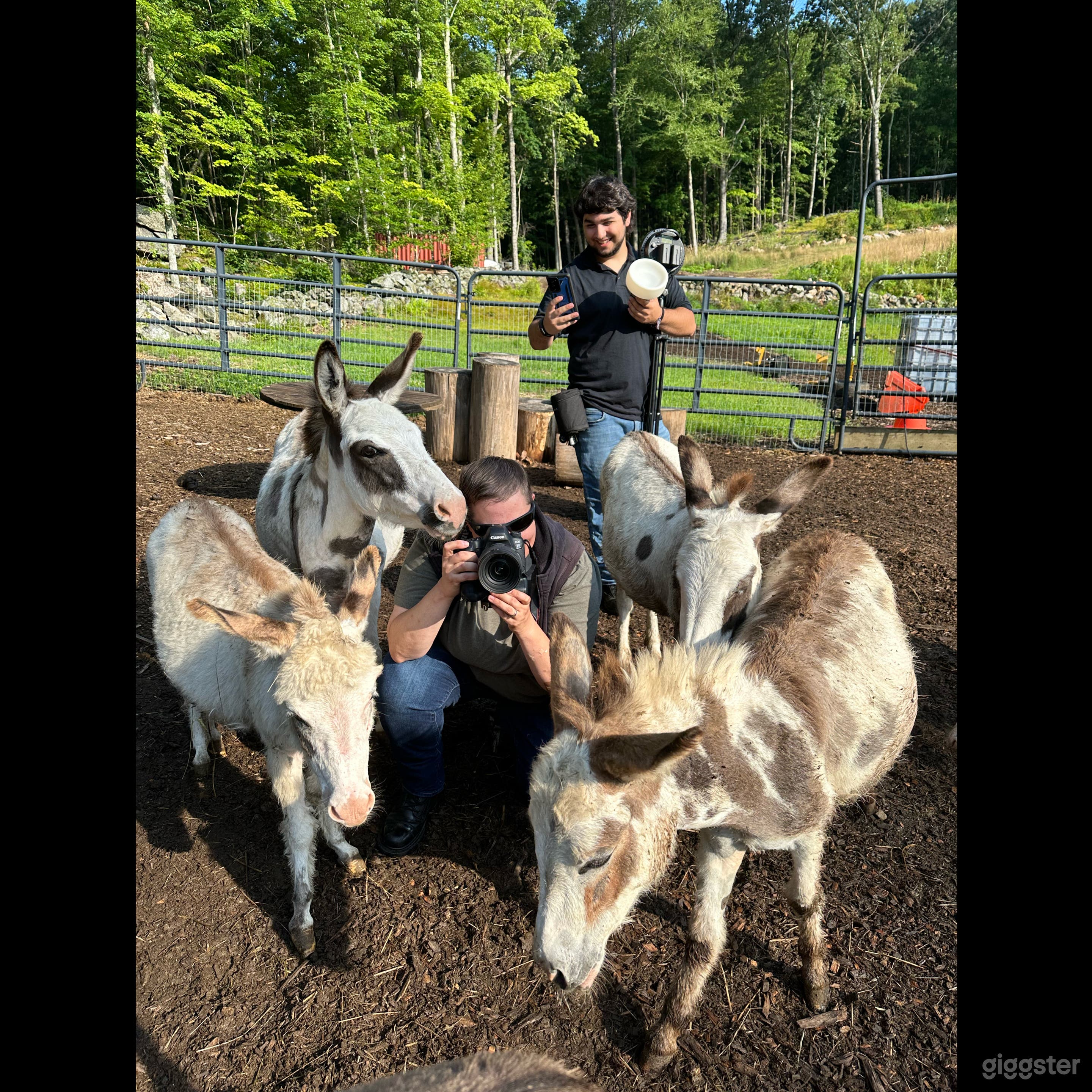 The animals are super friendly all wanted headshots when the last photographer came.