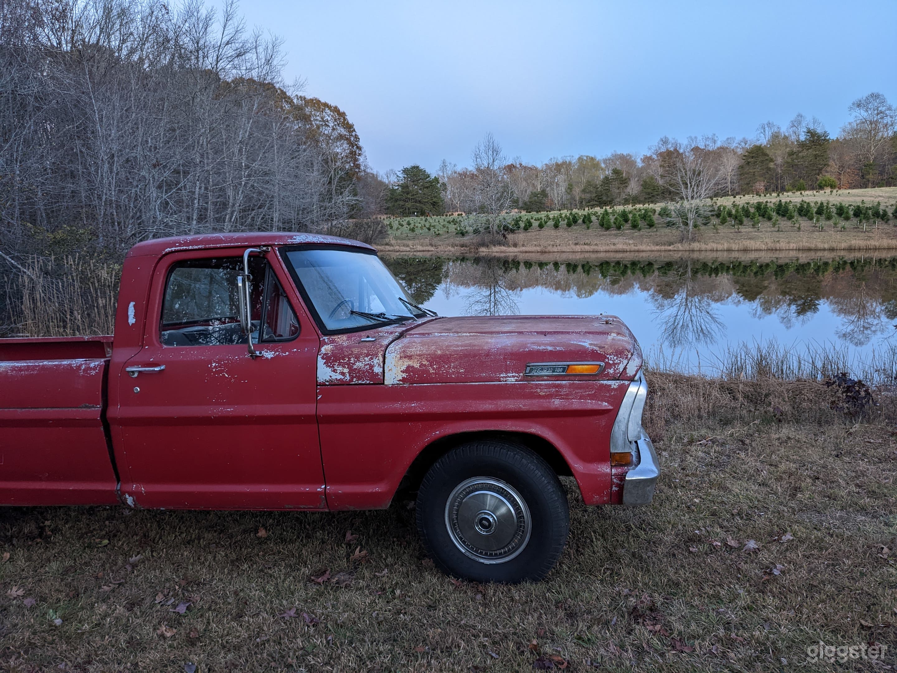 Woods Tree Farm Photo 4