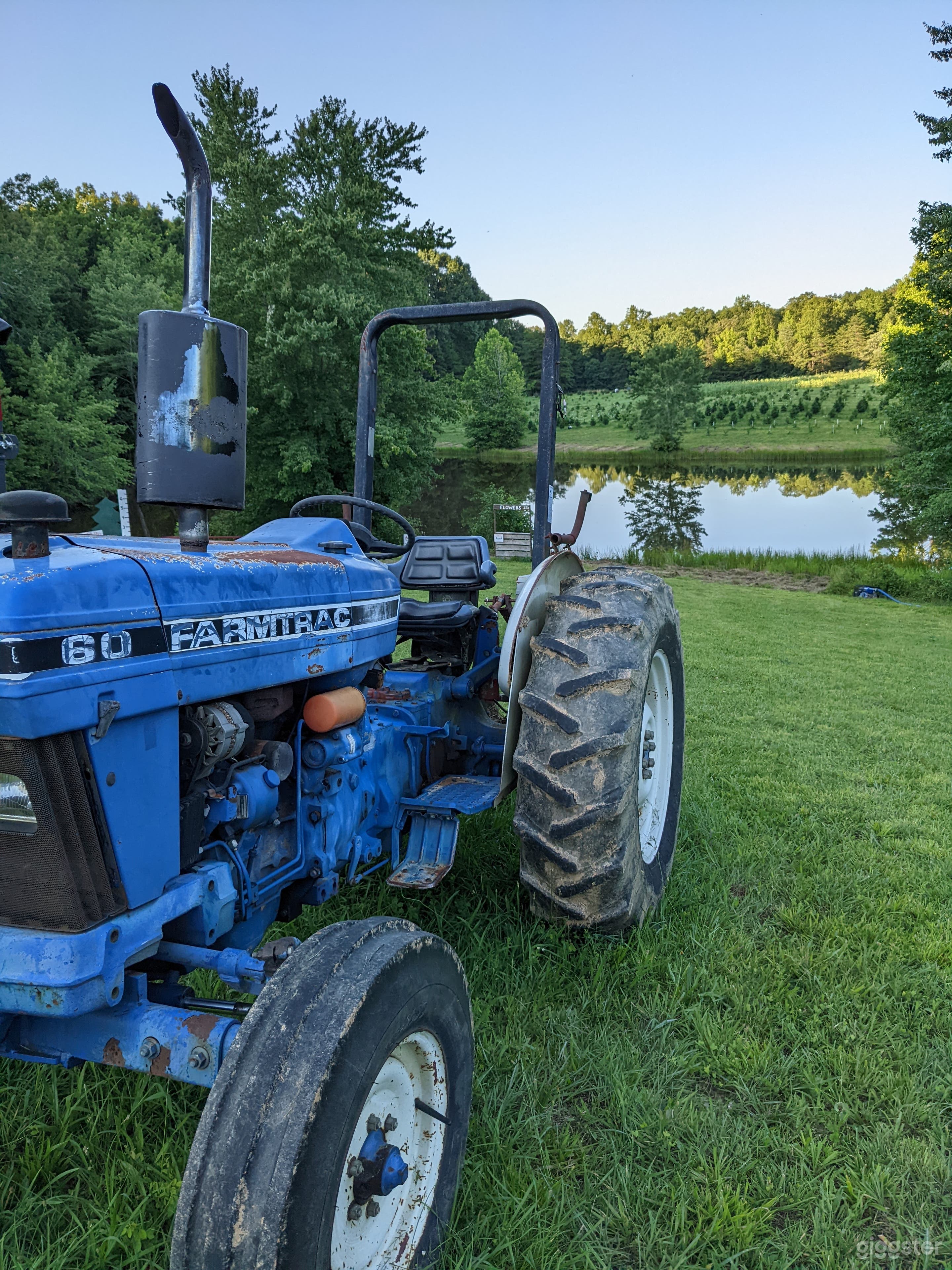 Woods Tree Farm Photo 2
