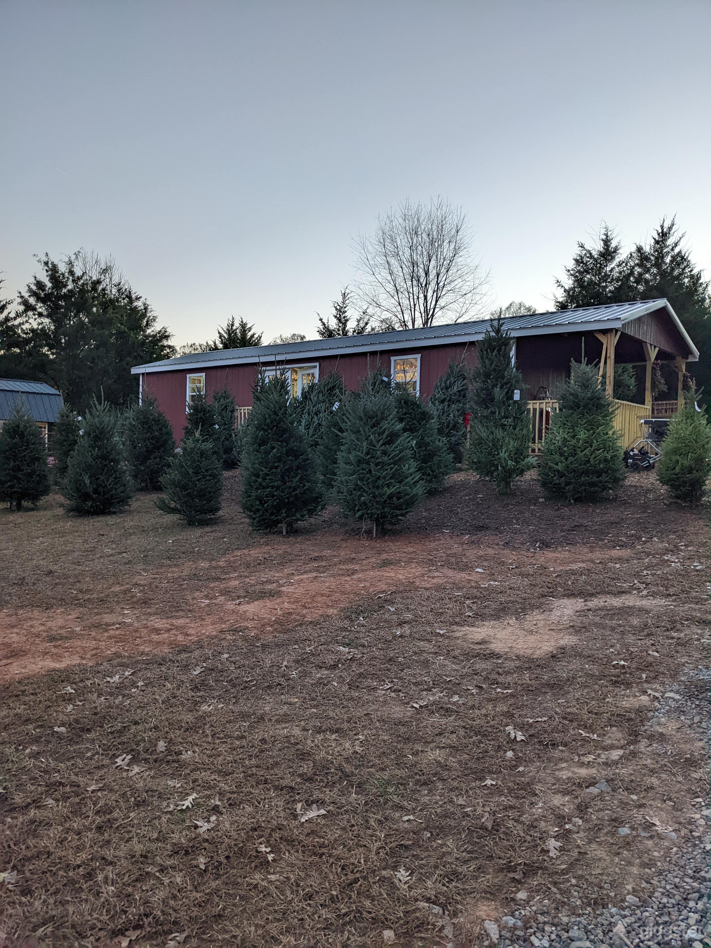 Woods Tree Farm Photo 3