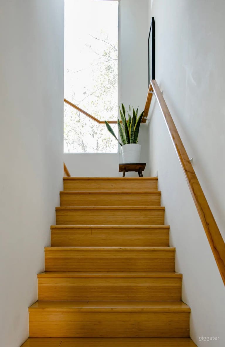  East Austin Bamboo Hideaway 