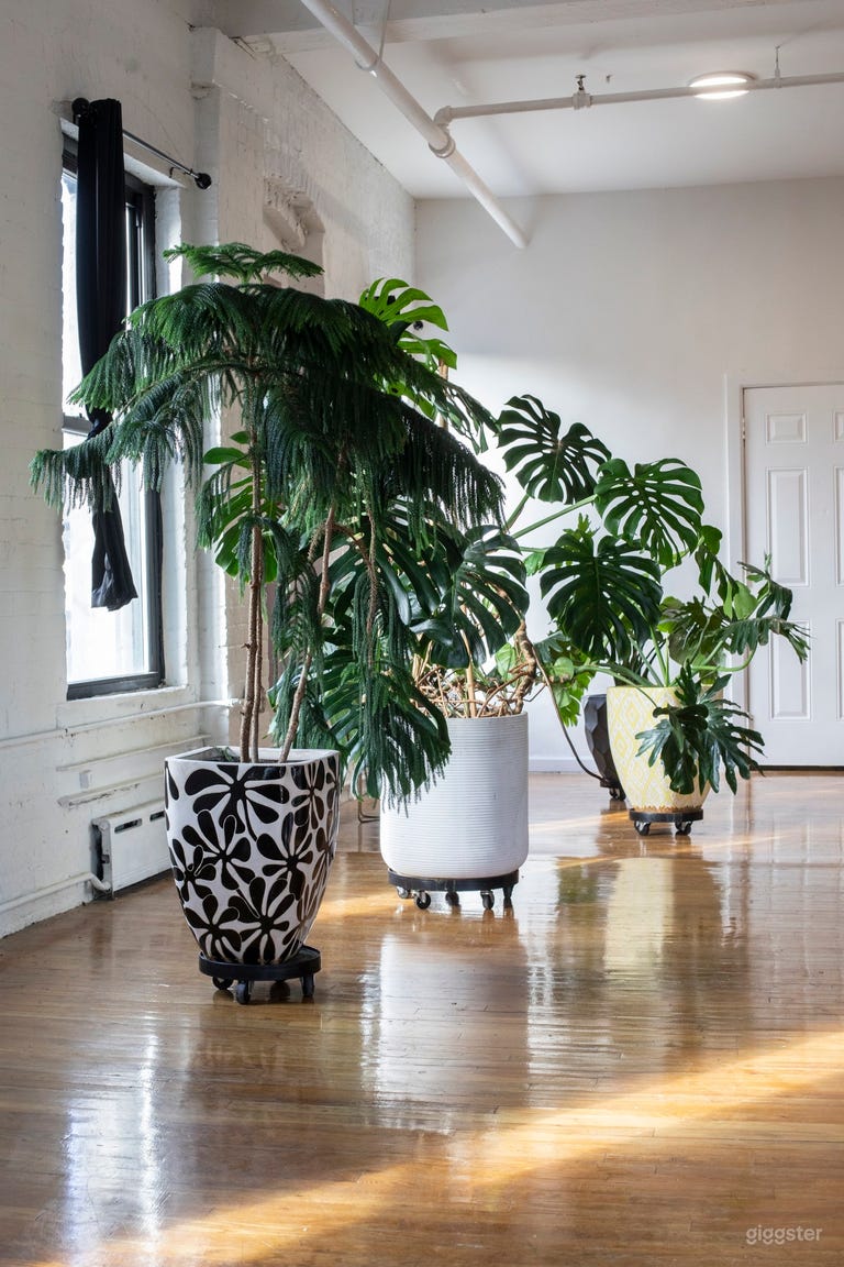  Bright Spacious 🌿Vintage Kitchen Loft at Morgan L 