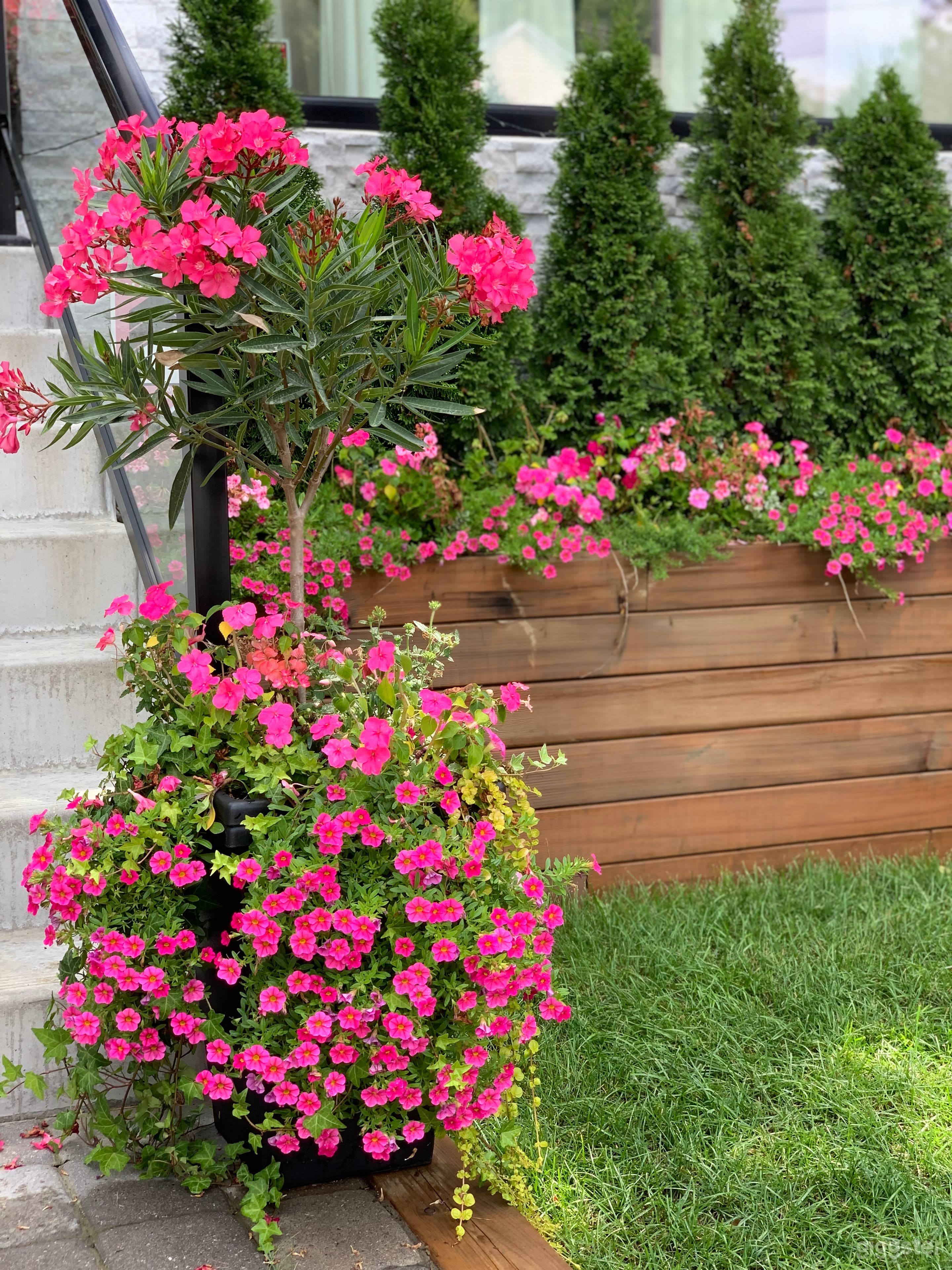 Lovely Modern Home in the Beaches  Photo 4