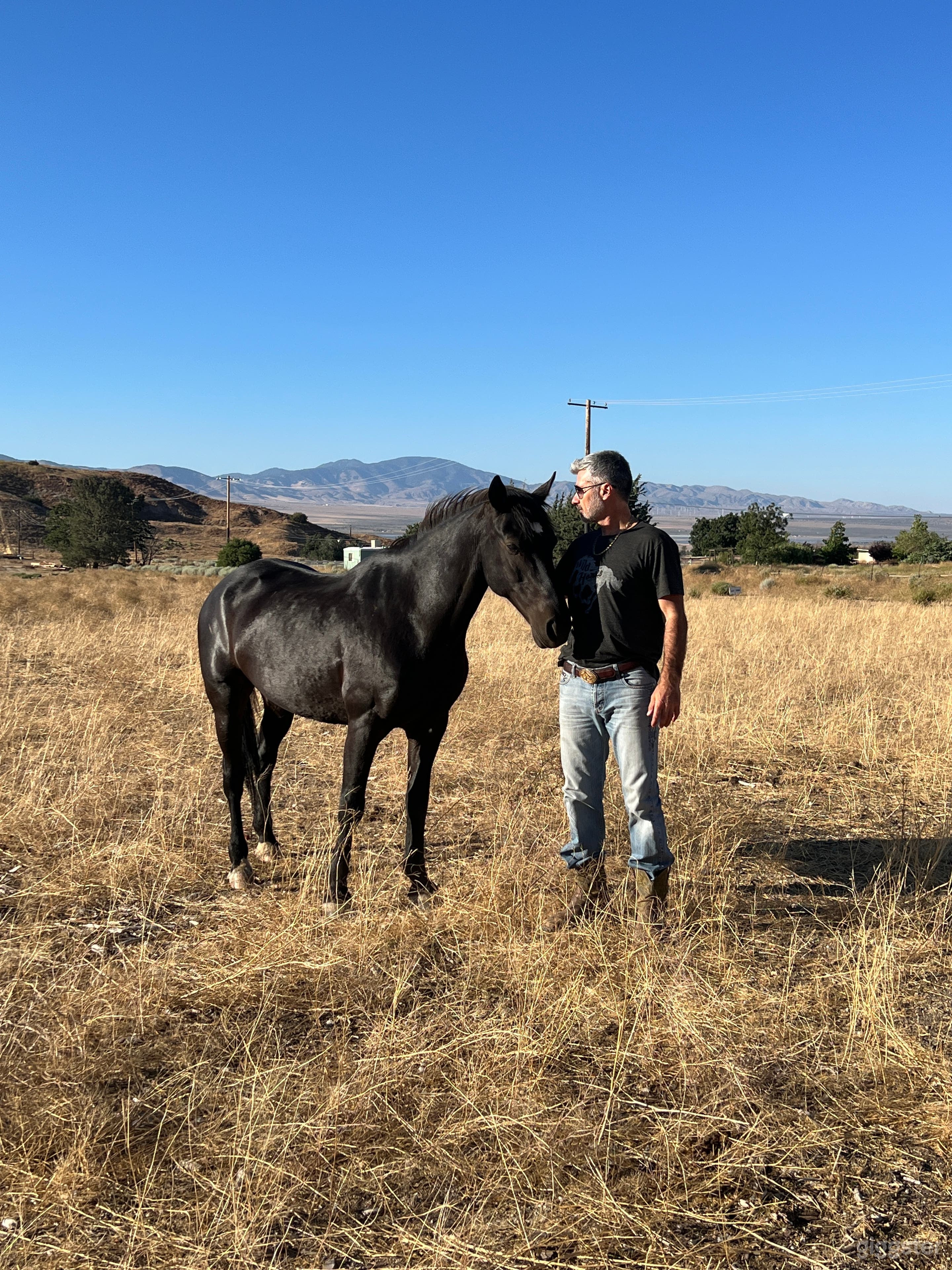 The Mustangs Ranch Photo 1