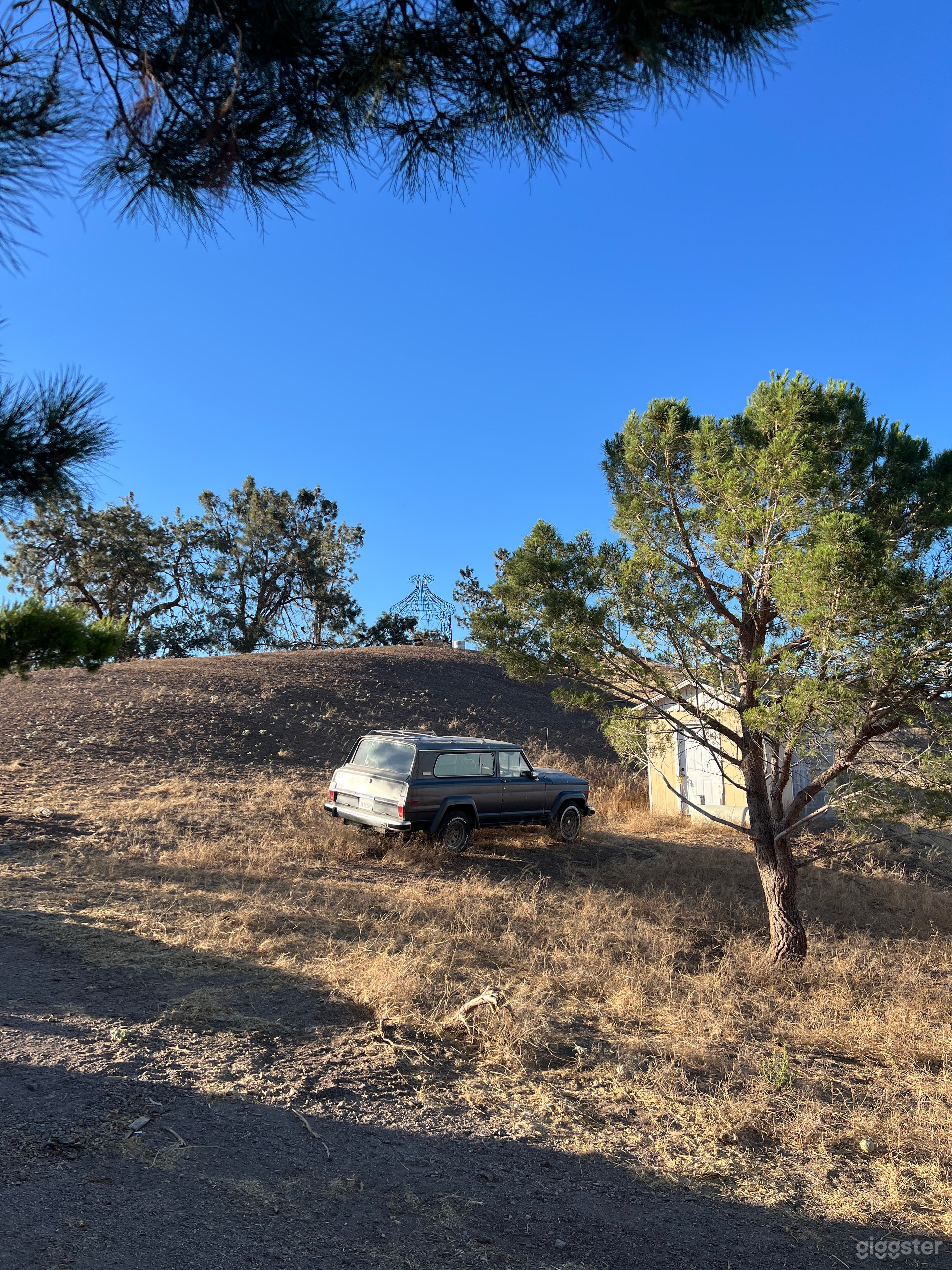 The Mustangs Ranch Photo 3