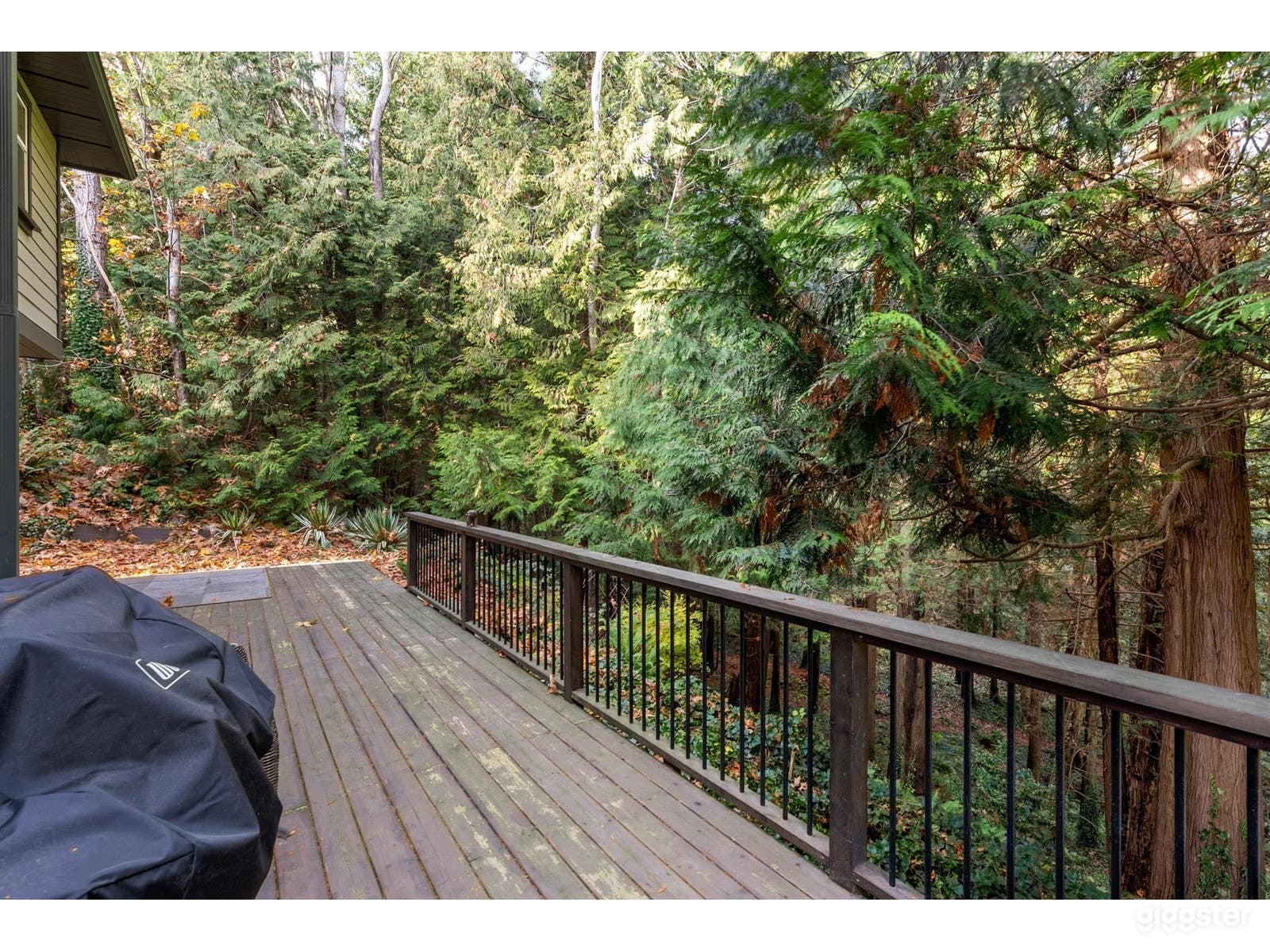 back balcony view on the revin