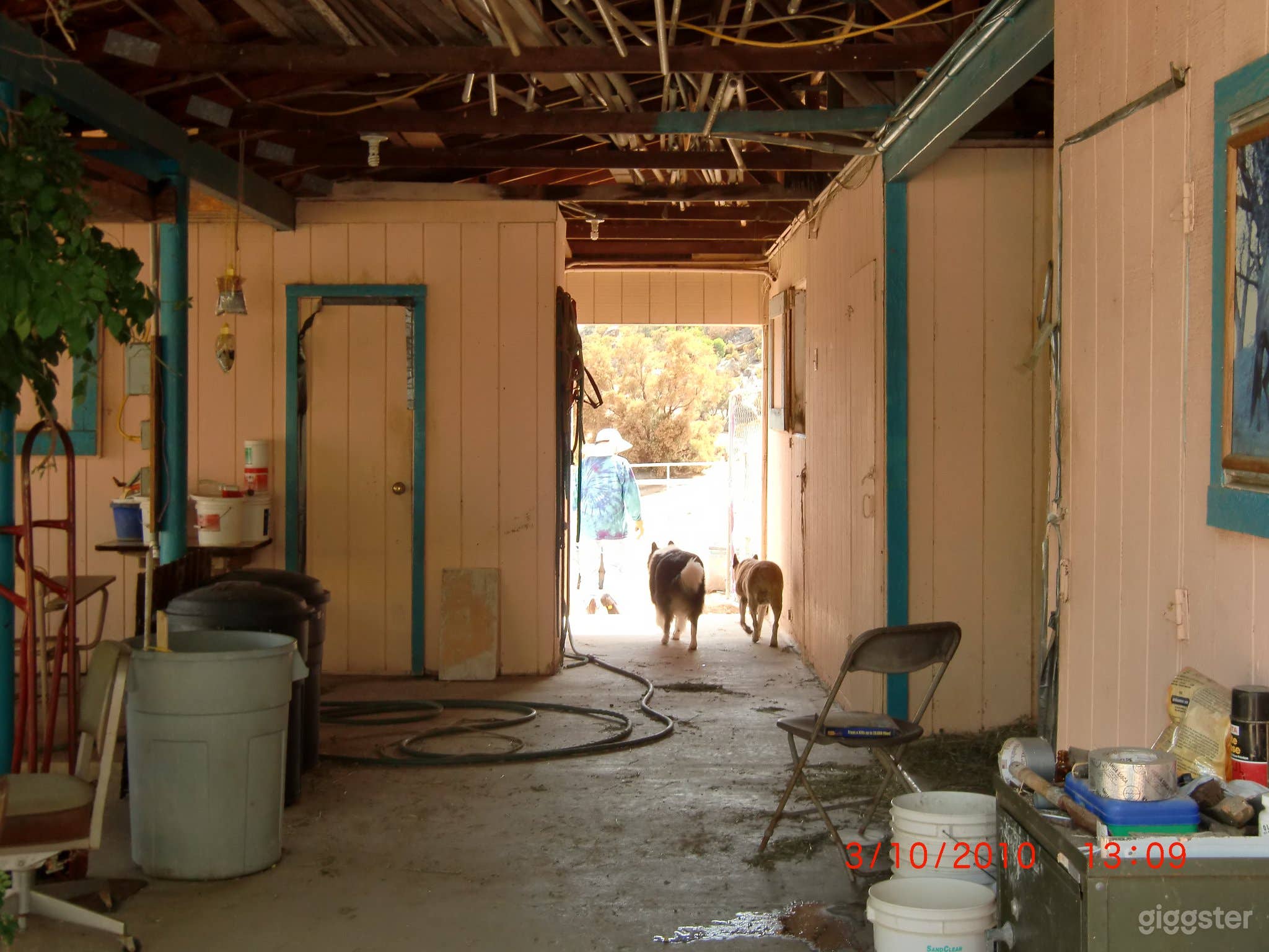 Unused, Empty Barn Photo 4