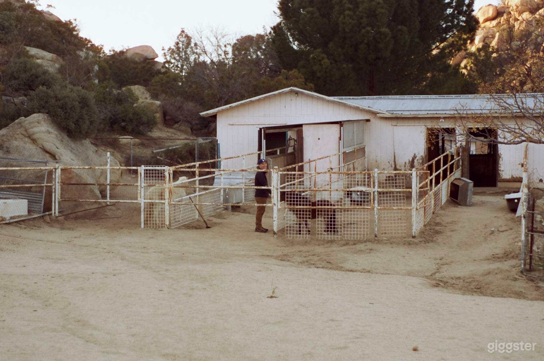 Unused, Empty Barn Photo 2