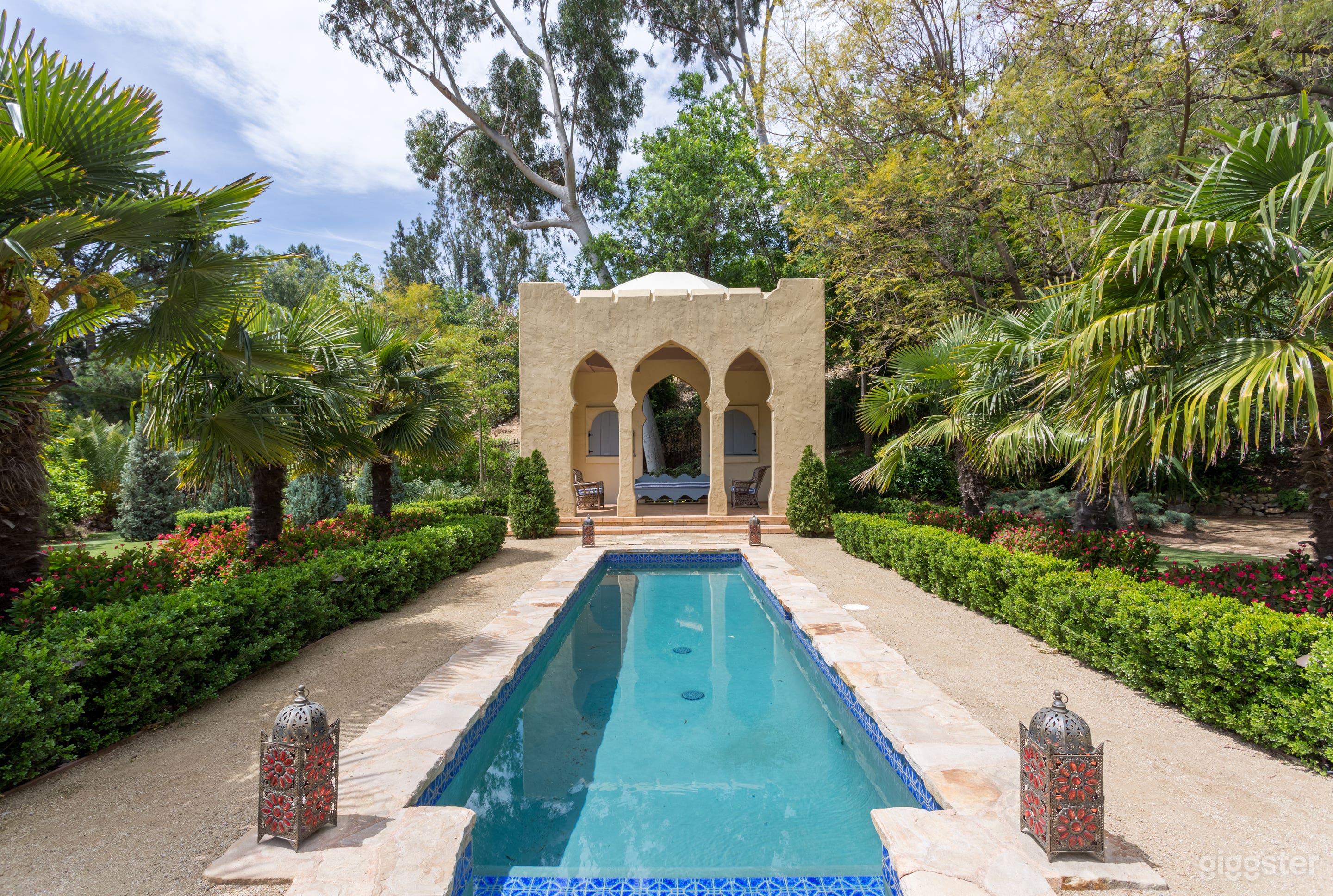 Burst of Color Photo 2