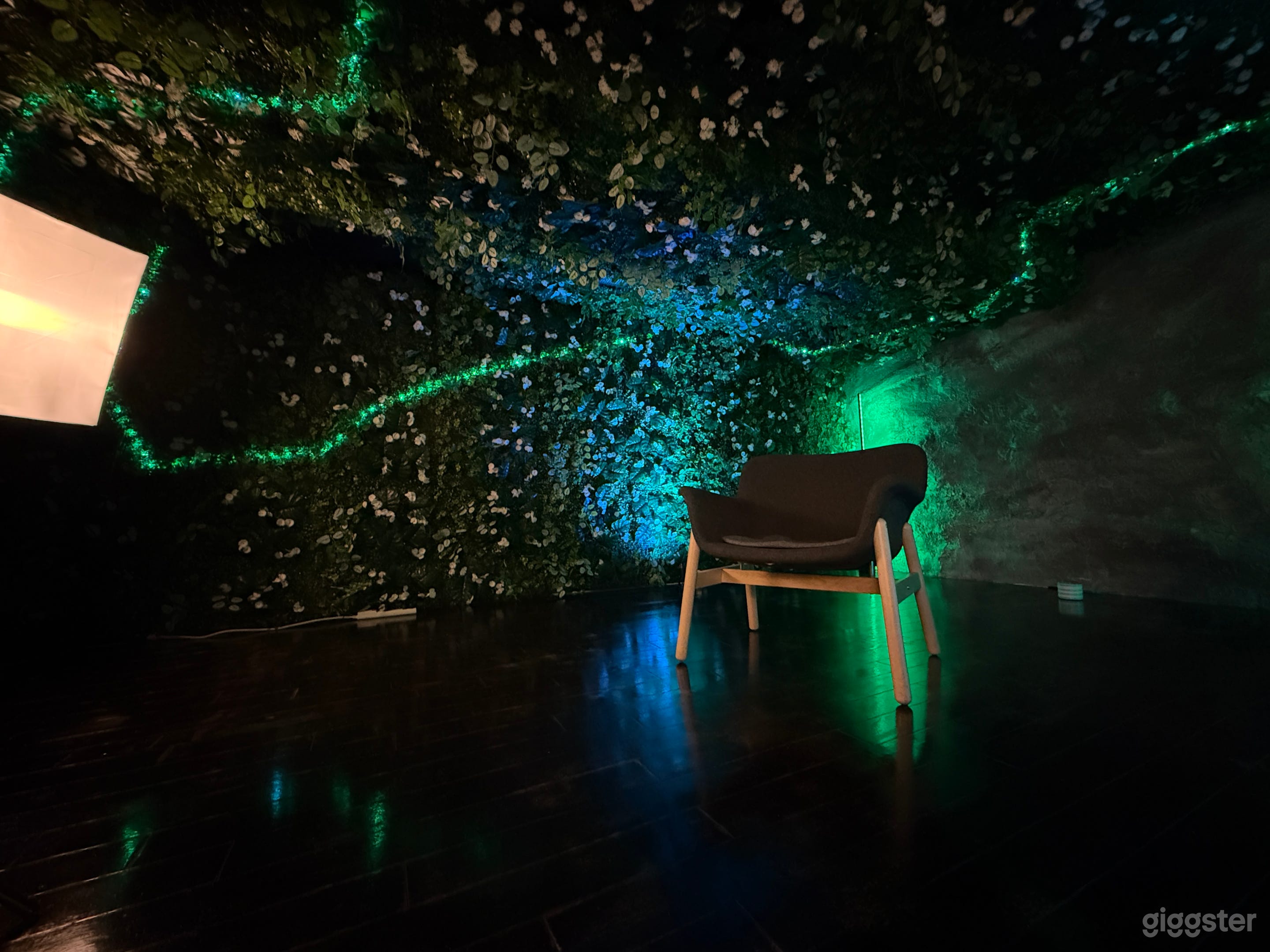 Jungle Studio Room – Photo/Video Shoots Photo 3