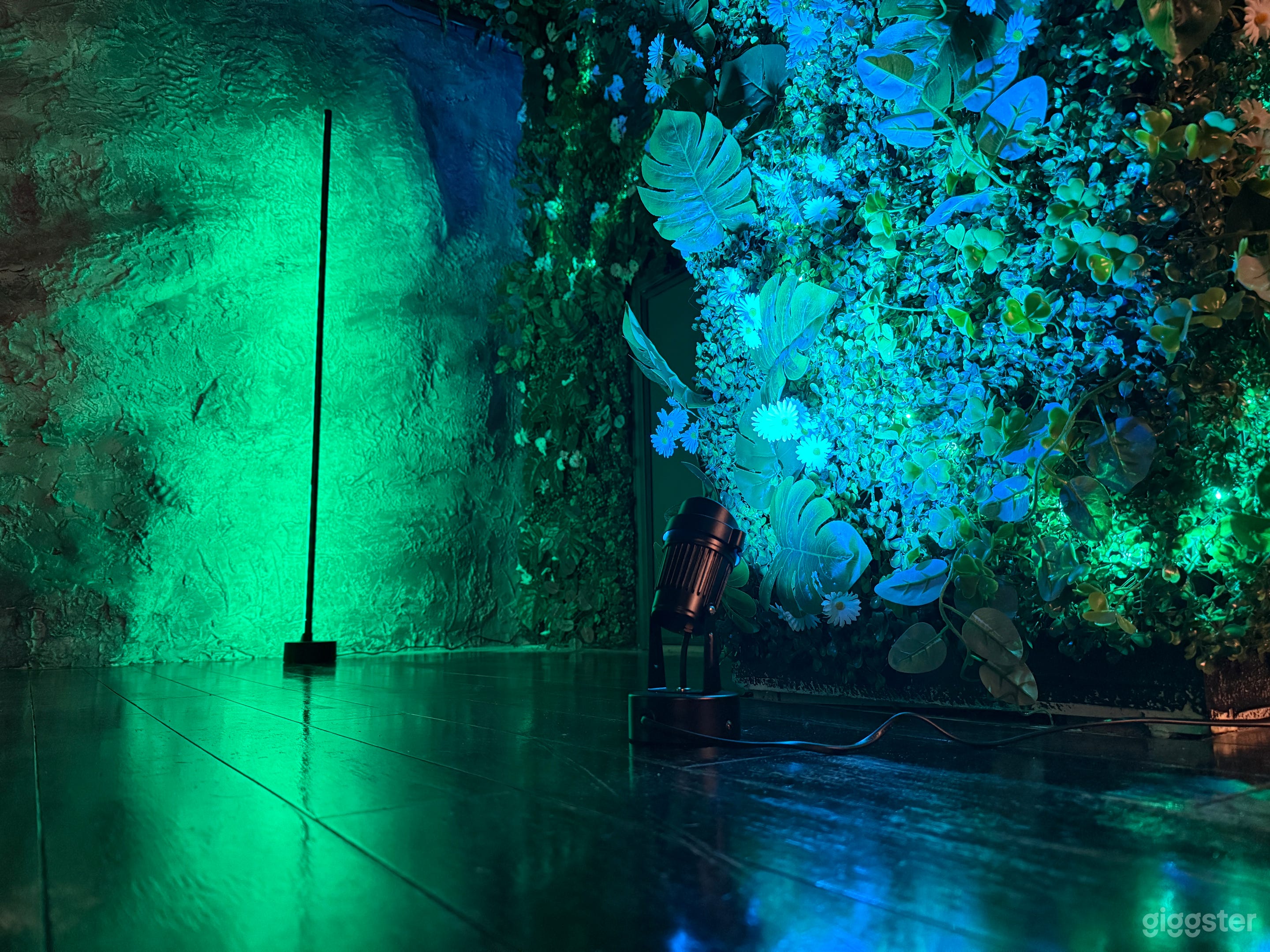 Jungle Studio Room – Photo/Video Shoots Photo 4