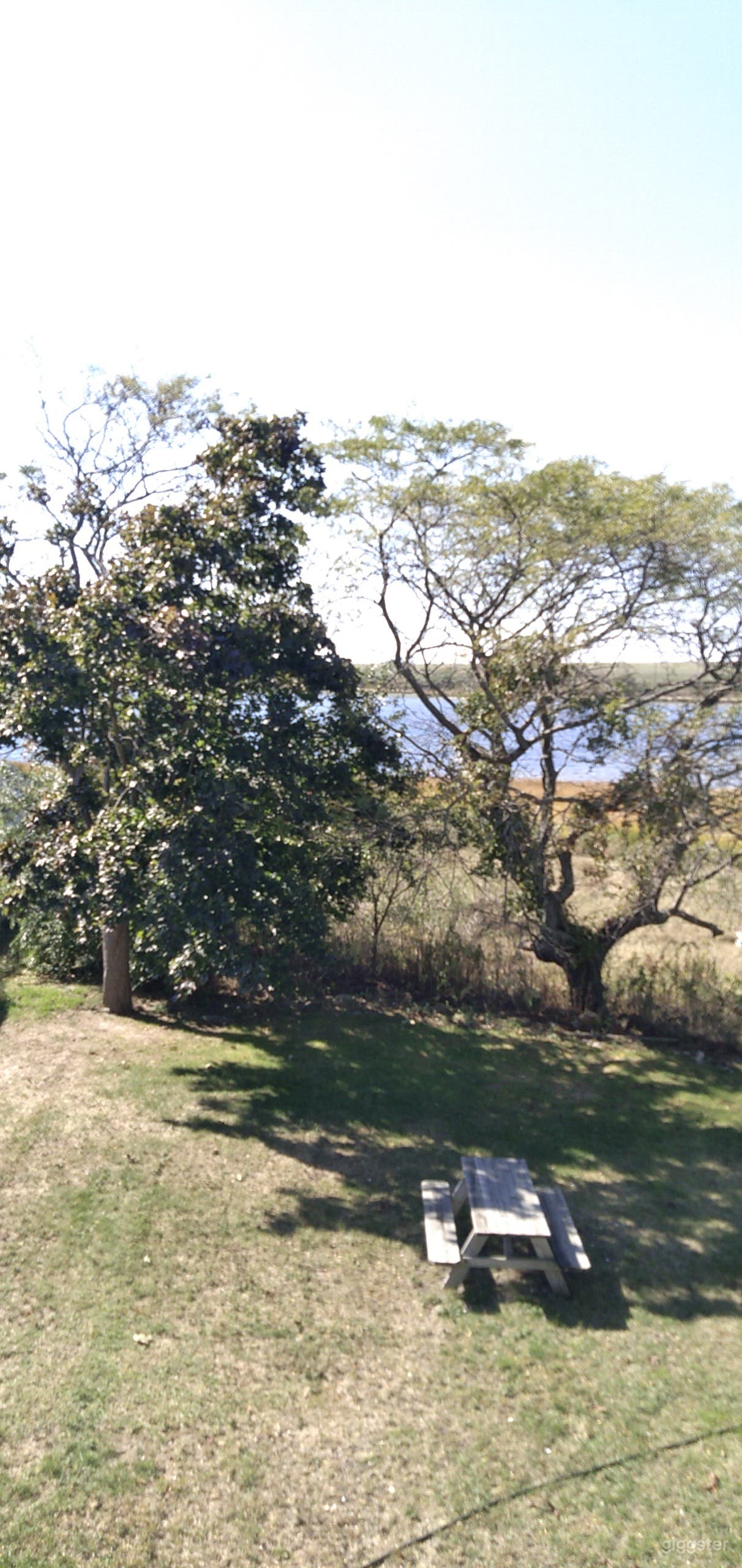 Summer Views from Yard