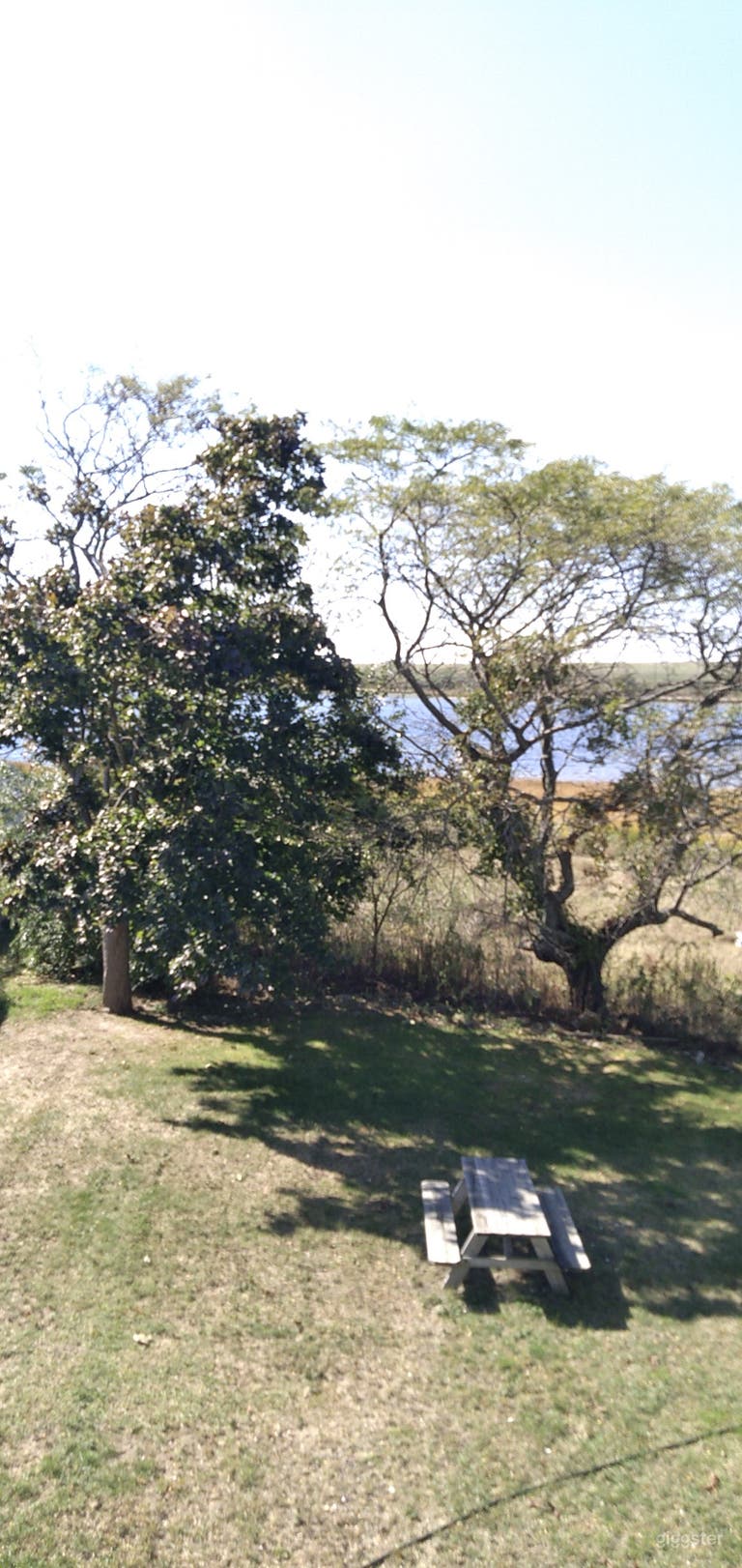  Summer Views from Yard 