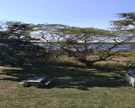  Early Fall Views from Yard 