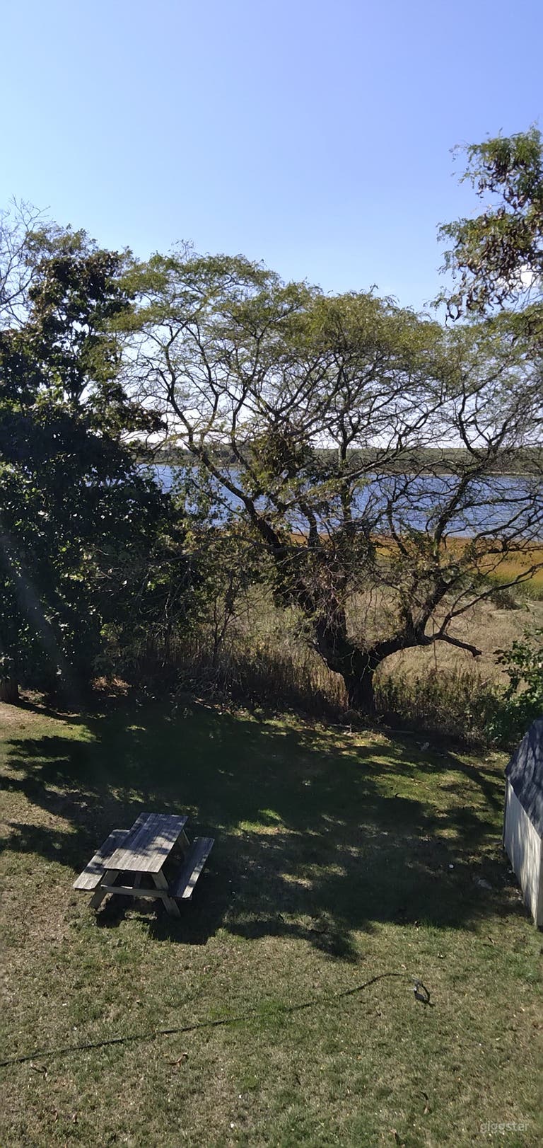  Early Fall Views from Yard 