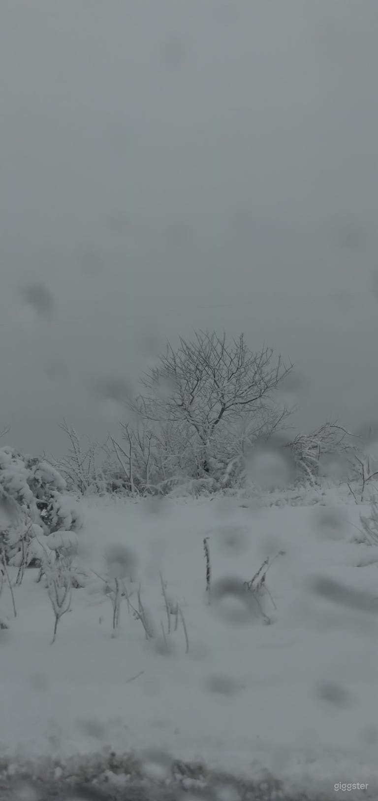   Winter Views of Yard After Winter Storm 