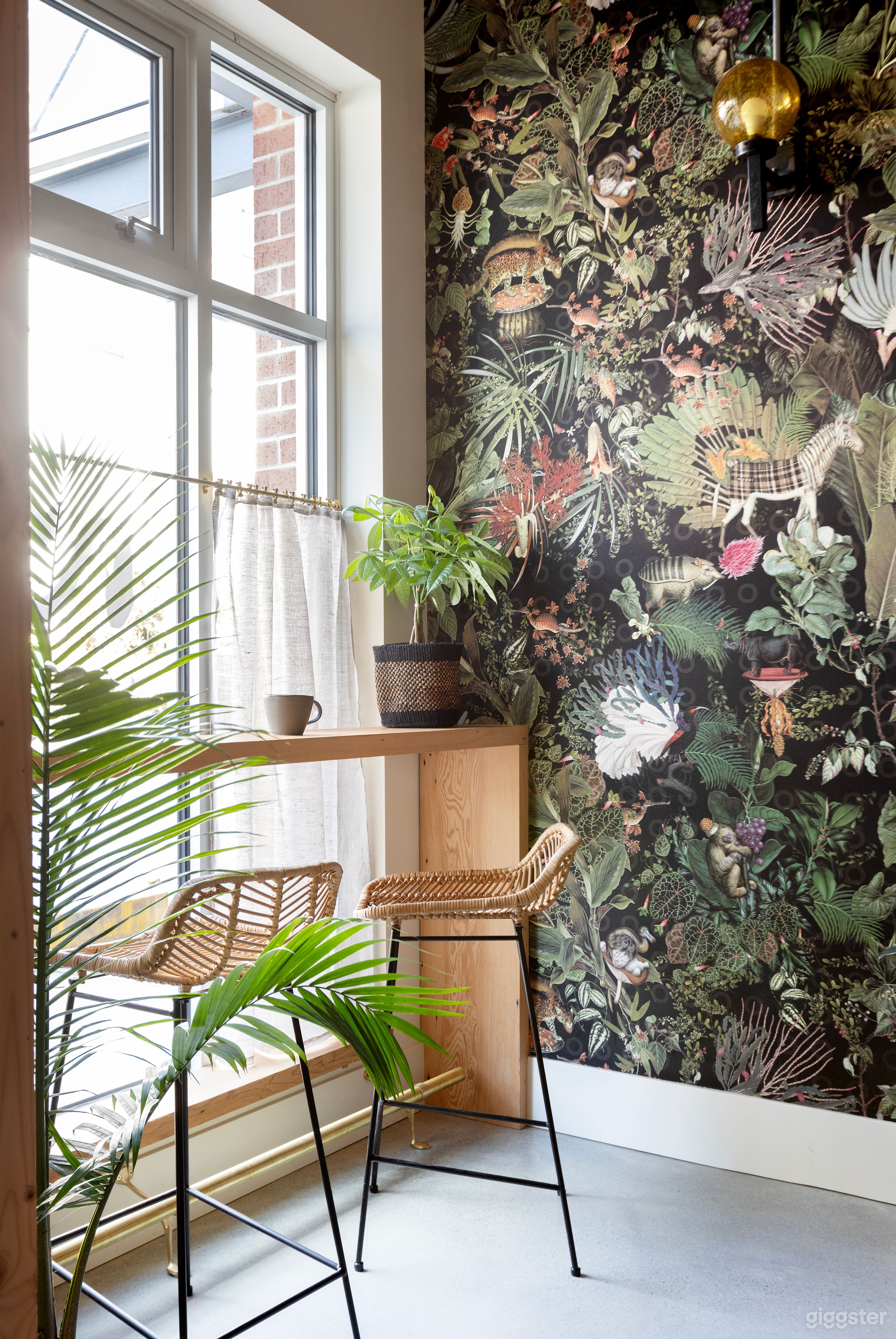 Boutique Chocolate Shop Photo 2