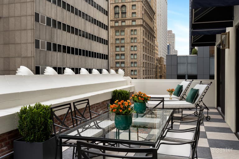  Penthouse Terrace 