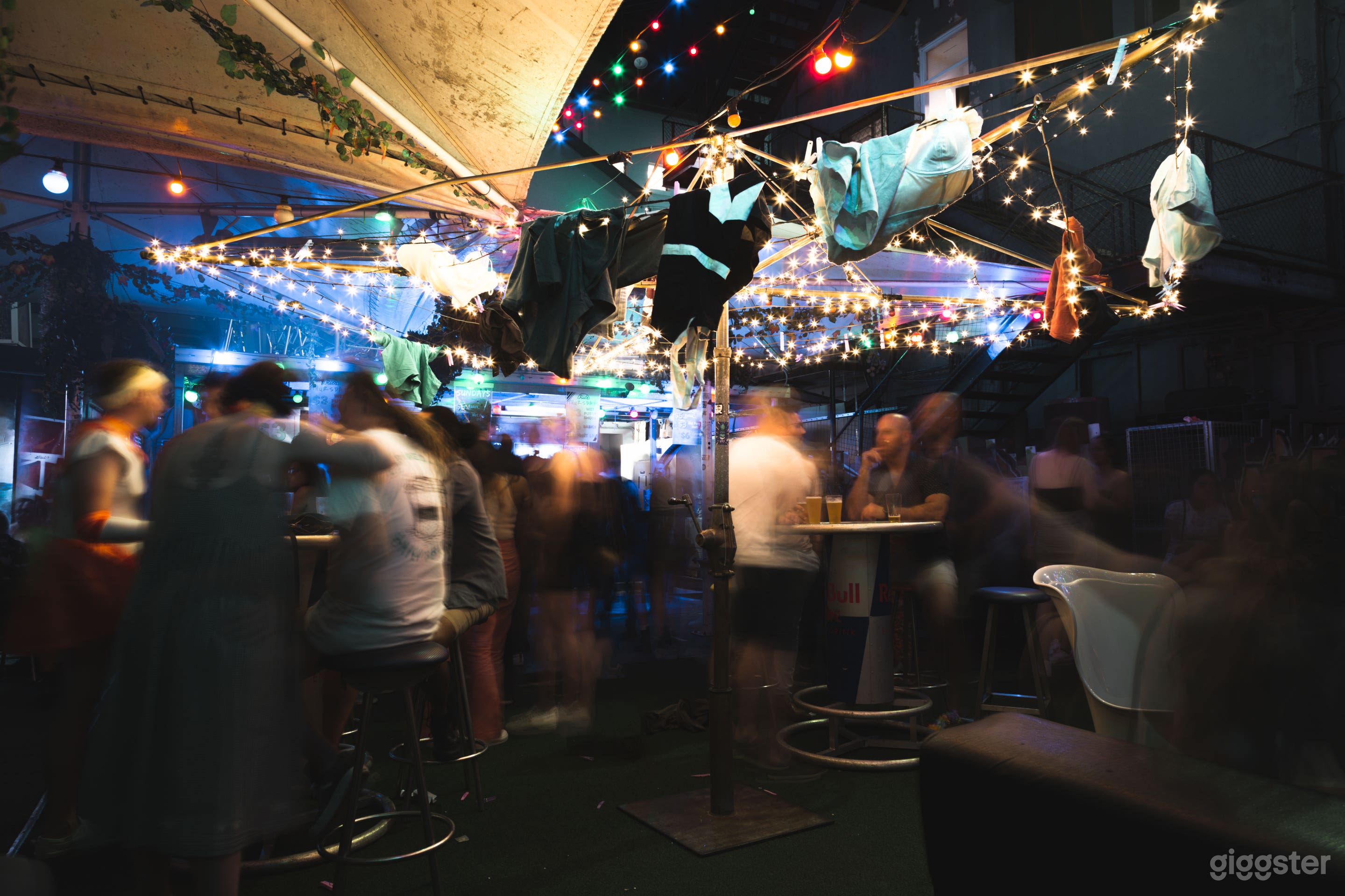 Rics iconic clothesline in the Backyard
