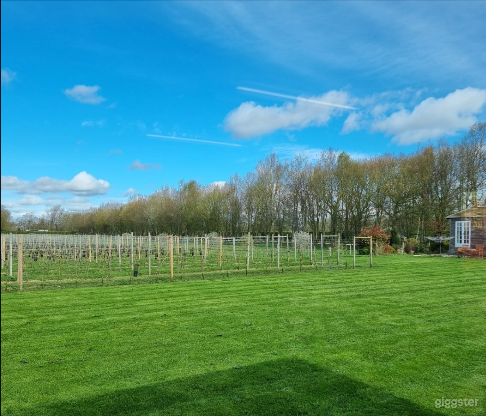 Amazing Vineyard in Nun Monkton Photo 2