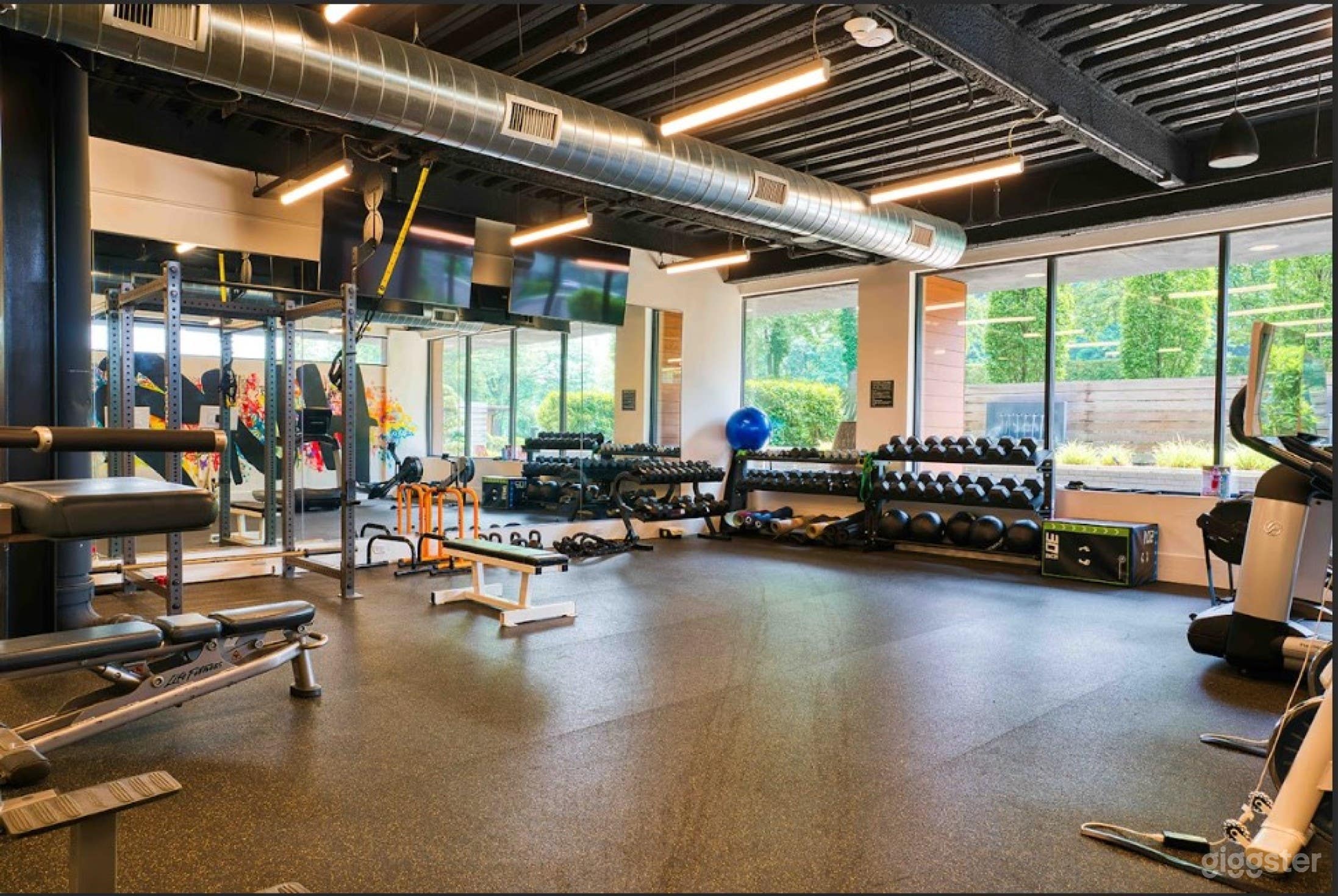 Dynamic And Fully Equipped Gym With Access To Locker Room Open For Filming Photo 2
