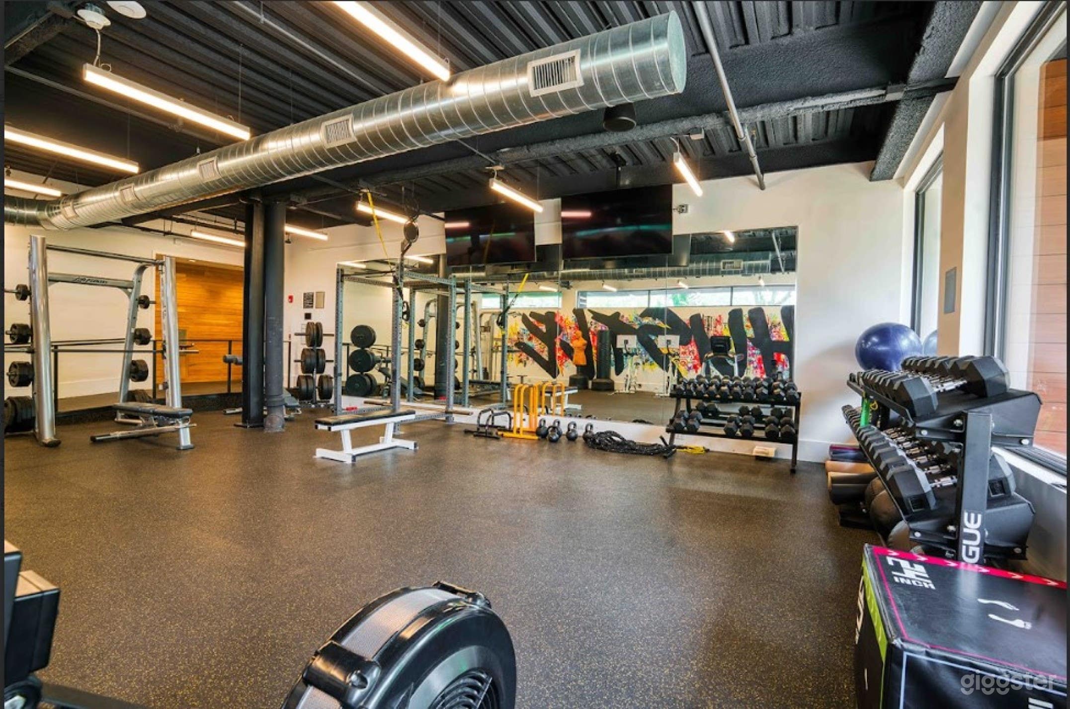 Dynamic And Fully Equipped Gym With Access To Locker Room Open For Filming Photo 1