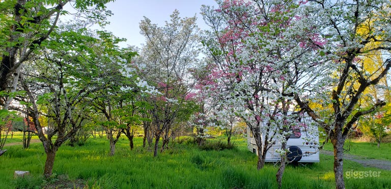  Spacious Campsite for Events in Canby 