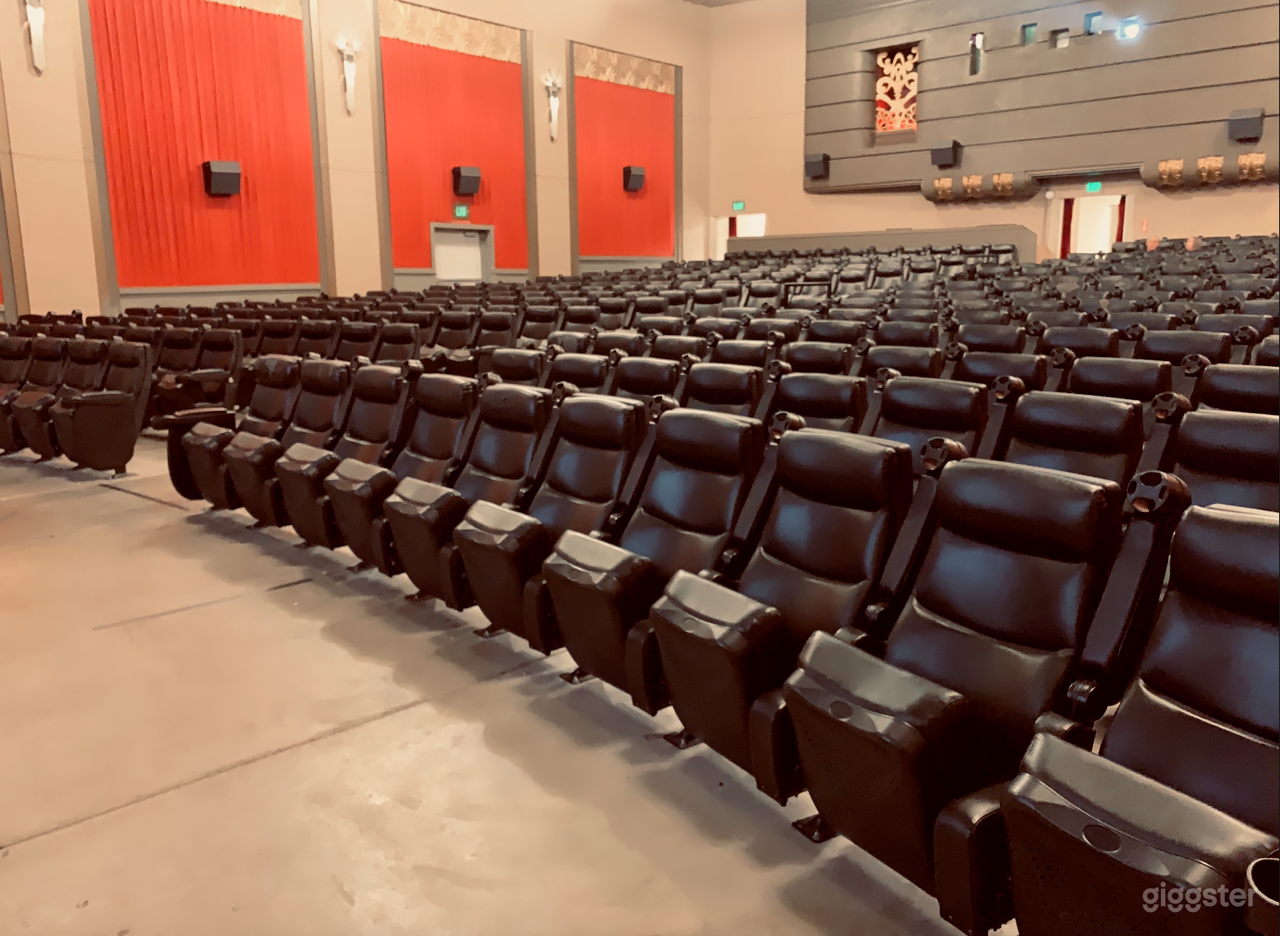 Inside The Kiggins Theatre auditorium from the stage. 