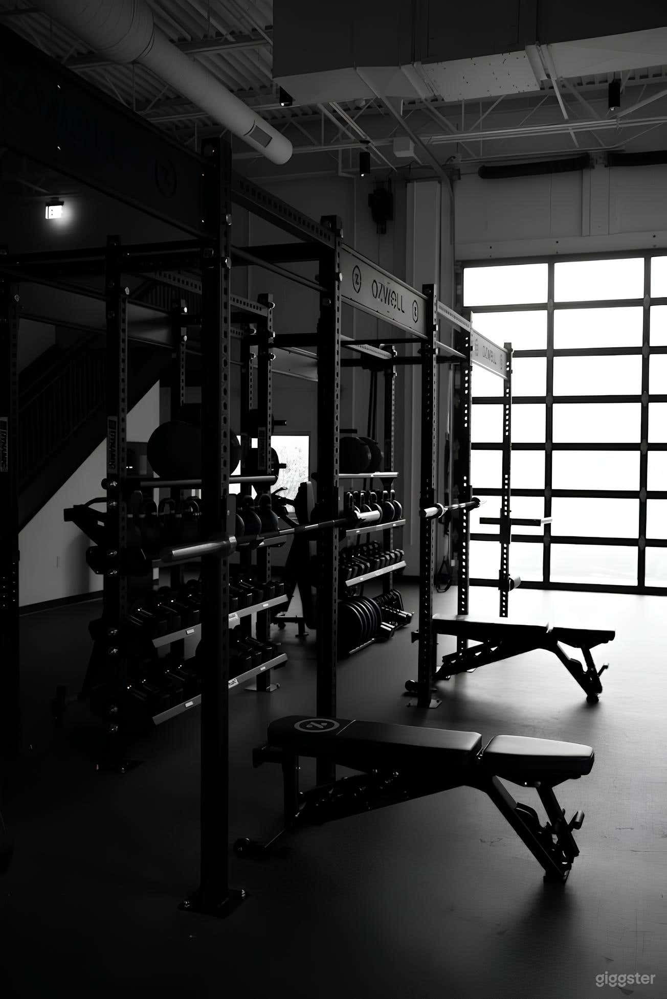 Aesthetic Gym+ Dome Perfect for Fitness shoot! Photo 3