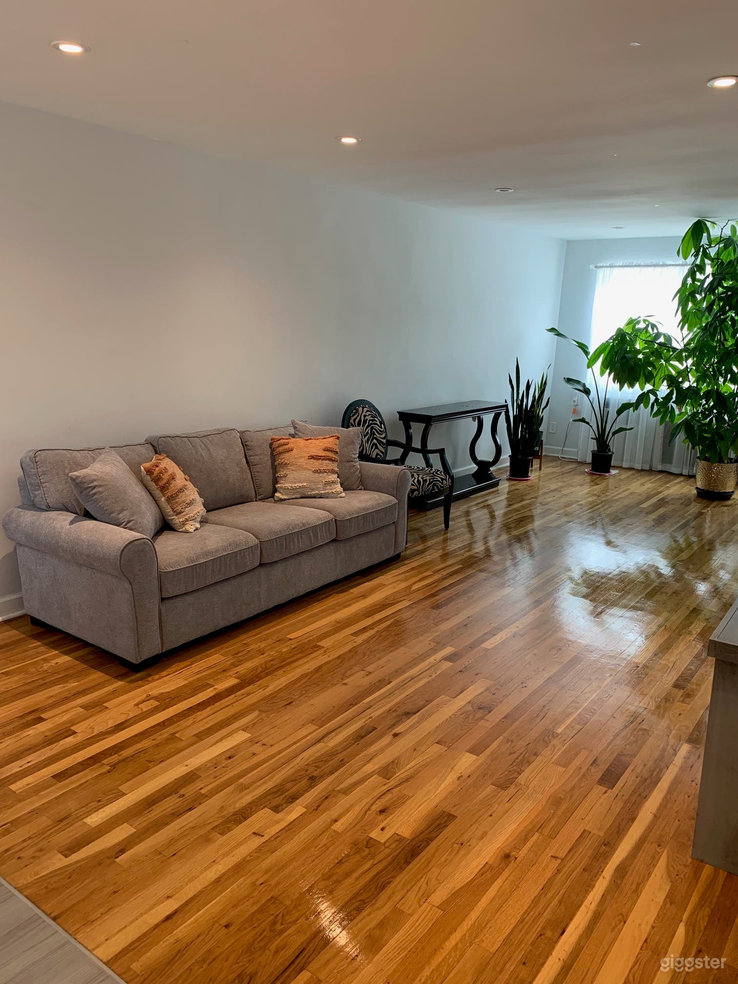 Sunlit Sanctuary: A Film Location Gem Photo 2