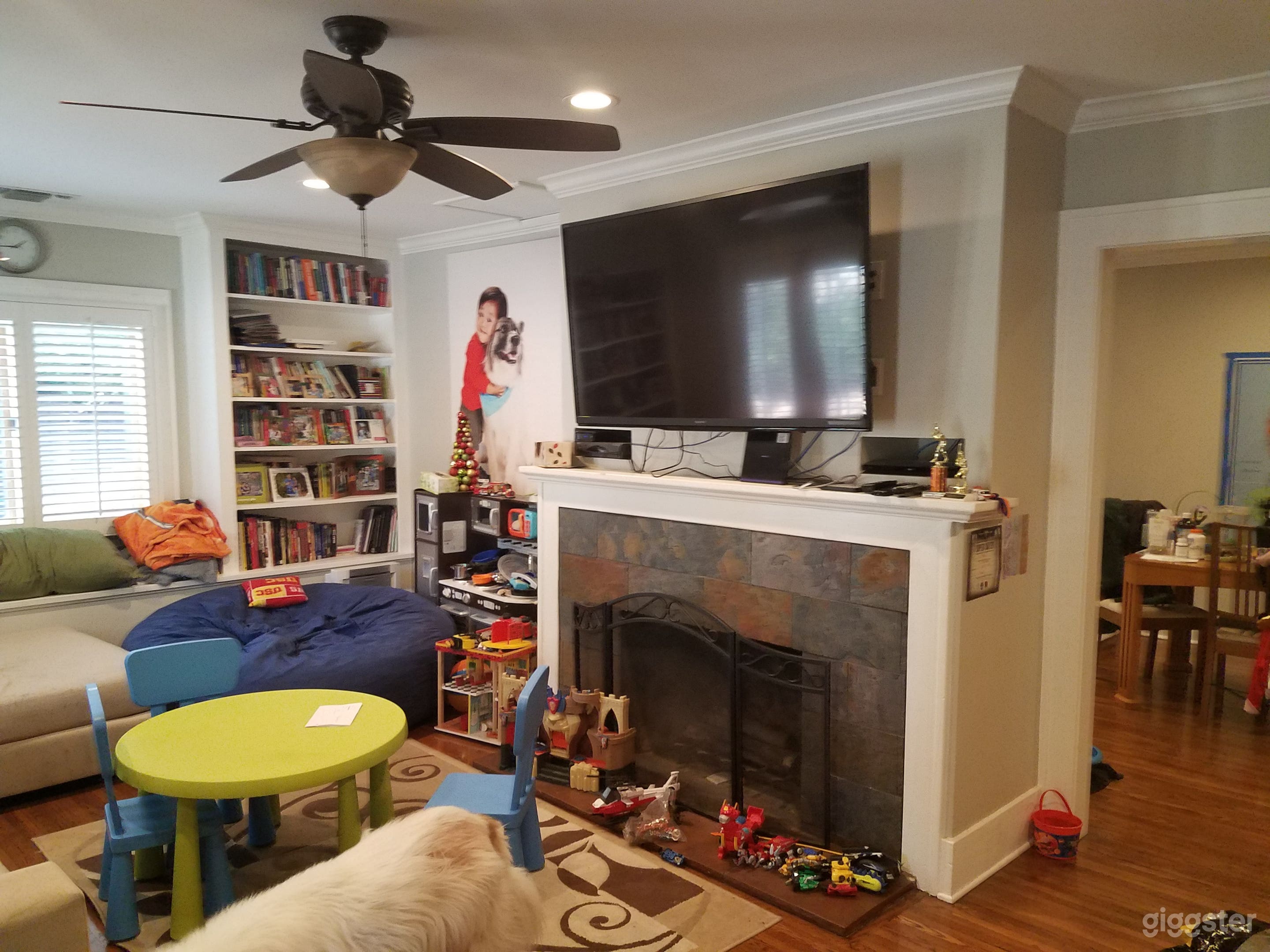Living room + fireplace