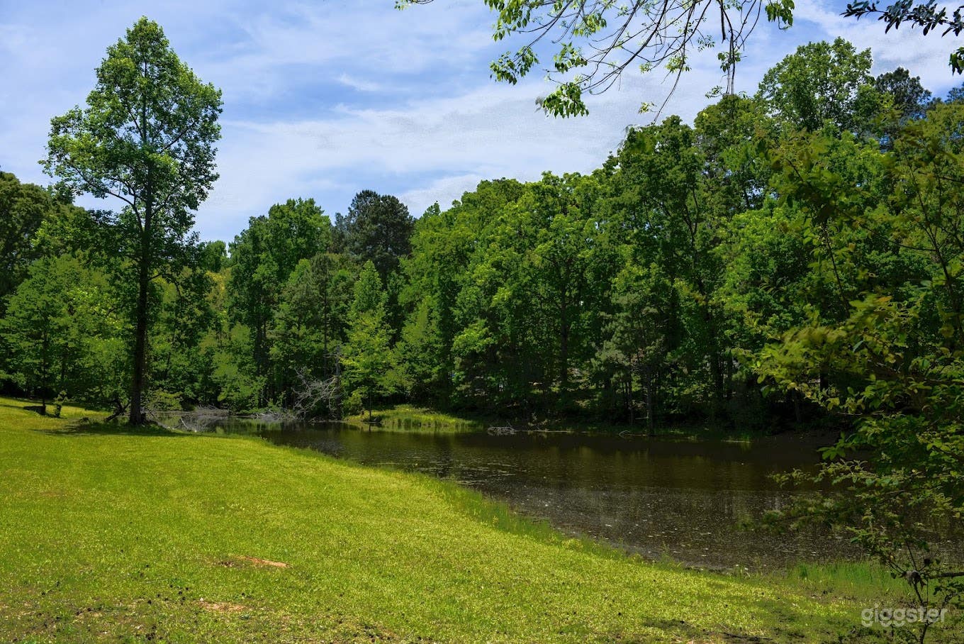  Tranquil Lakeside Haven Photo 4