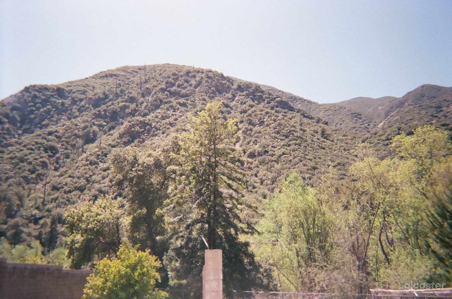 Private Angeles Forest with Creek Photo 2